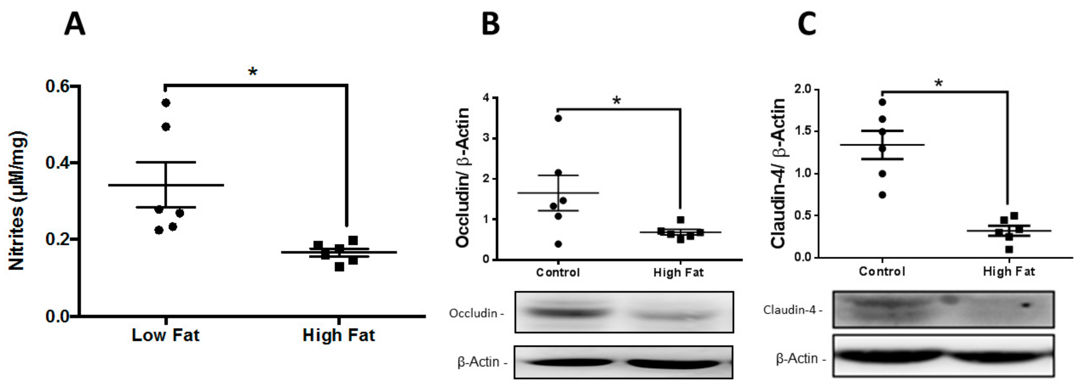 Medsci 07 00065 g001