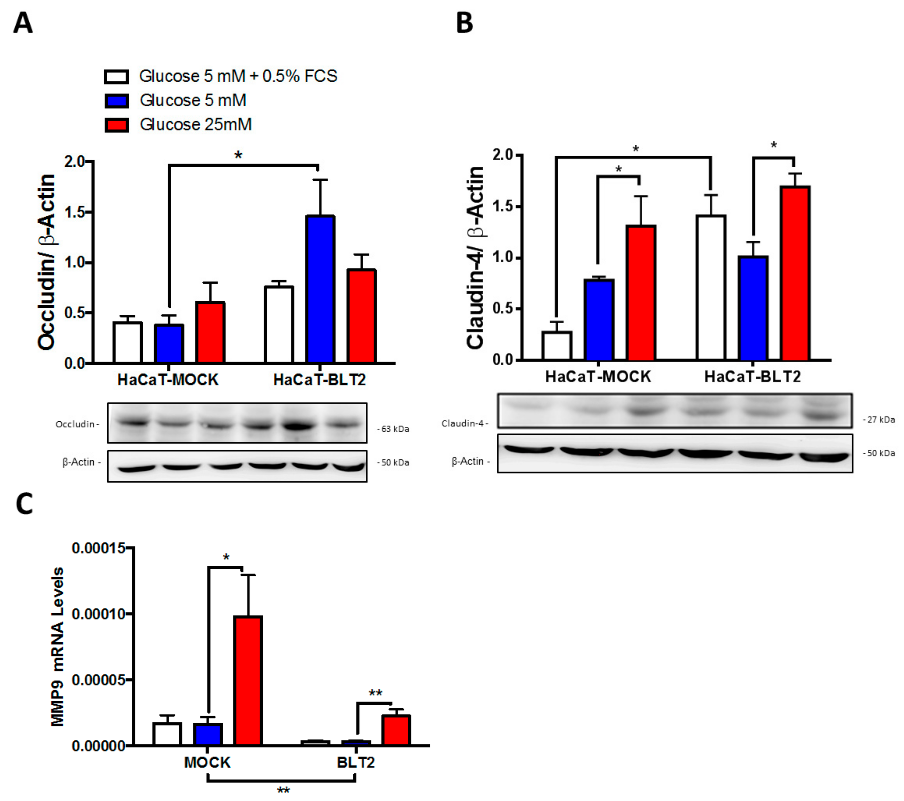 Medsci 07 00065 g003