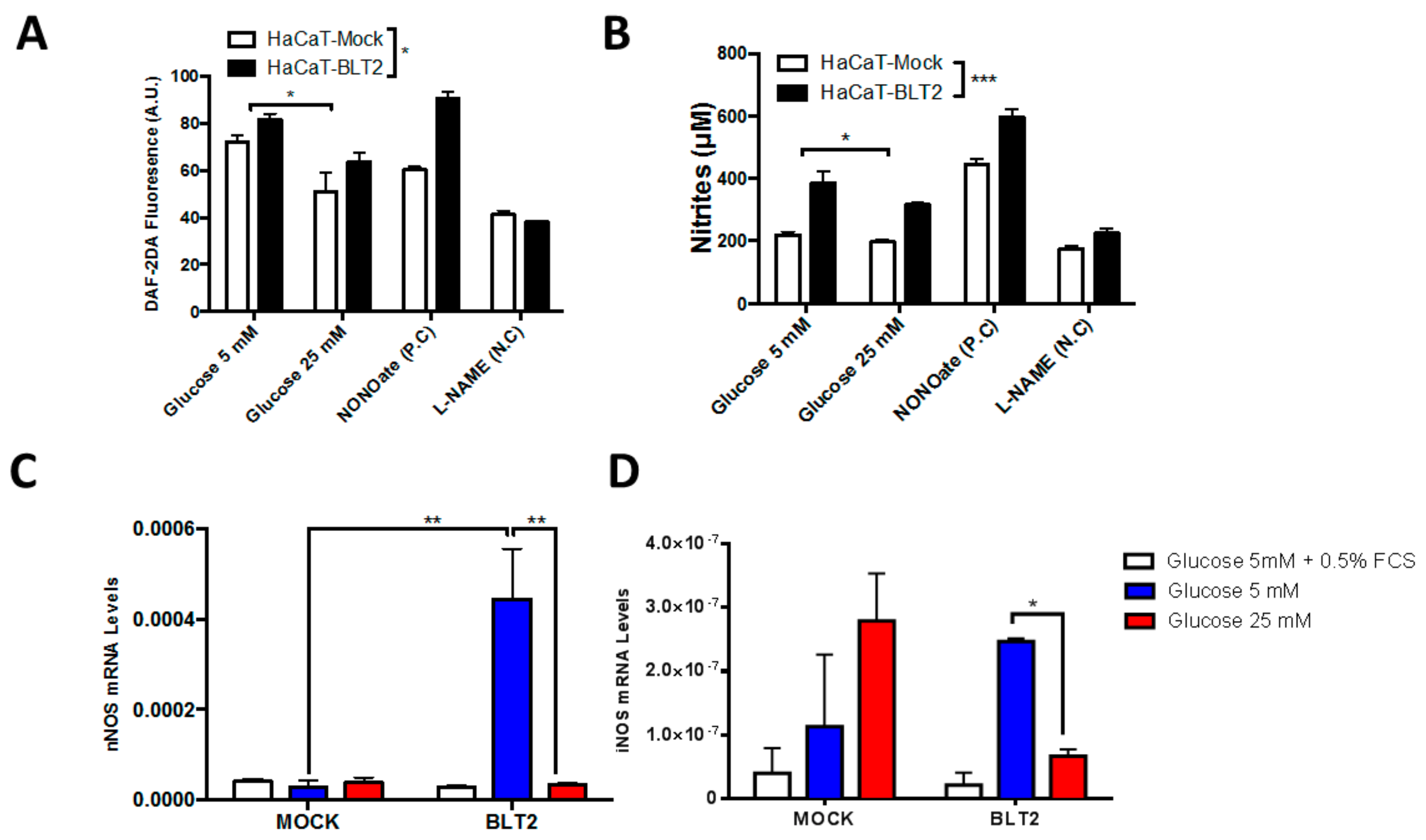 Medsci 07 00065 g004