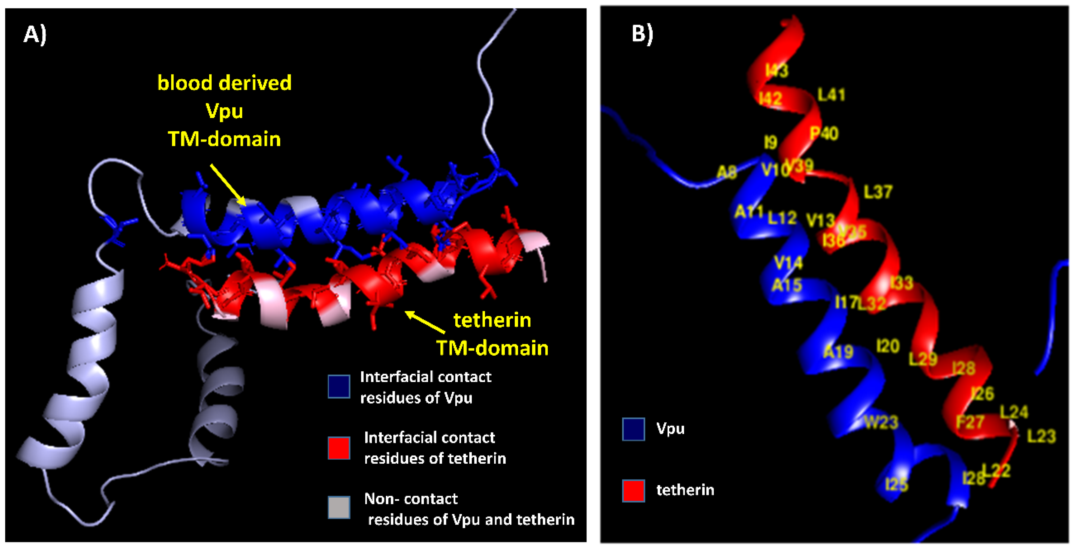 Medsci 07 00074 g003