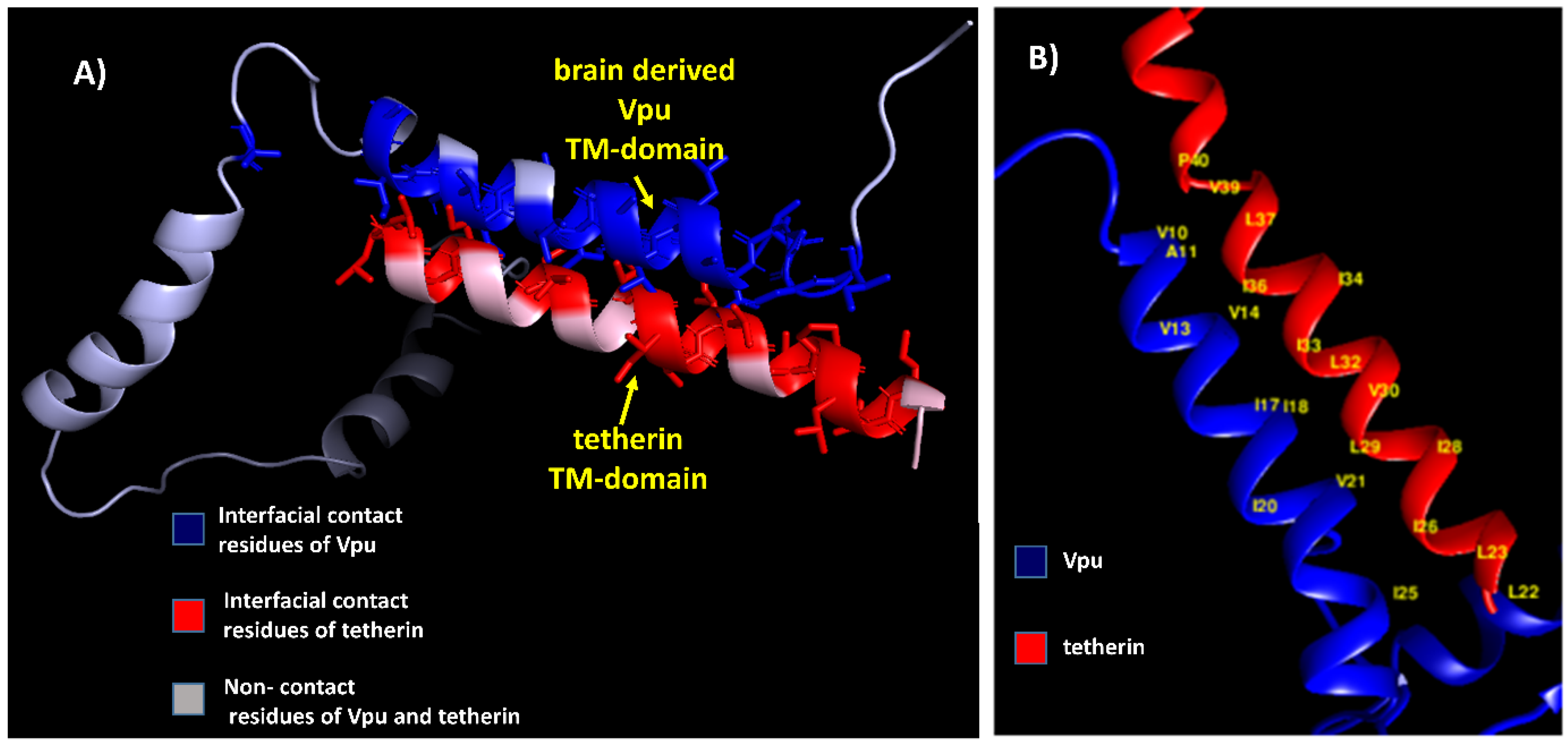 Medsci 07 00074 g004