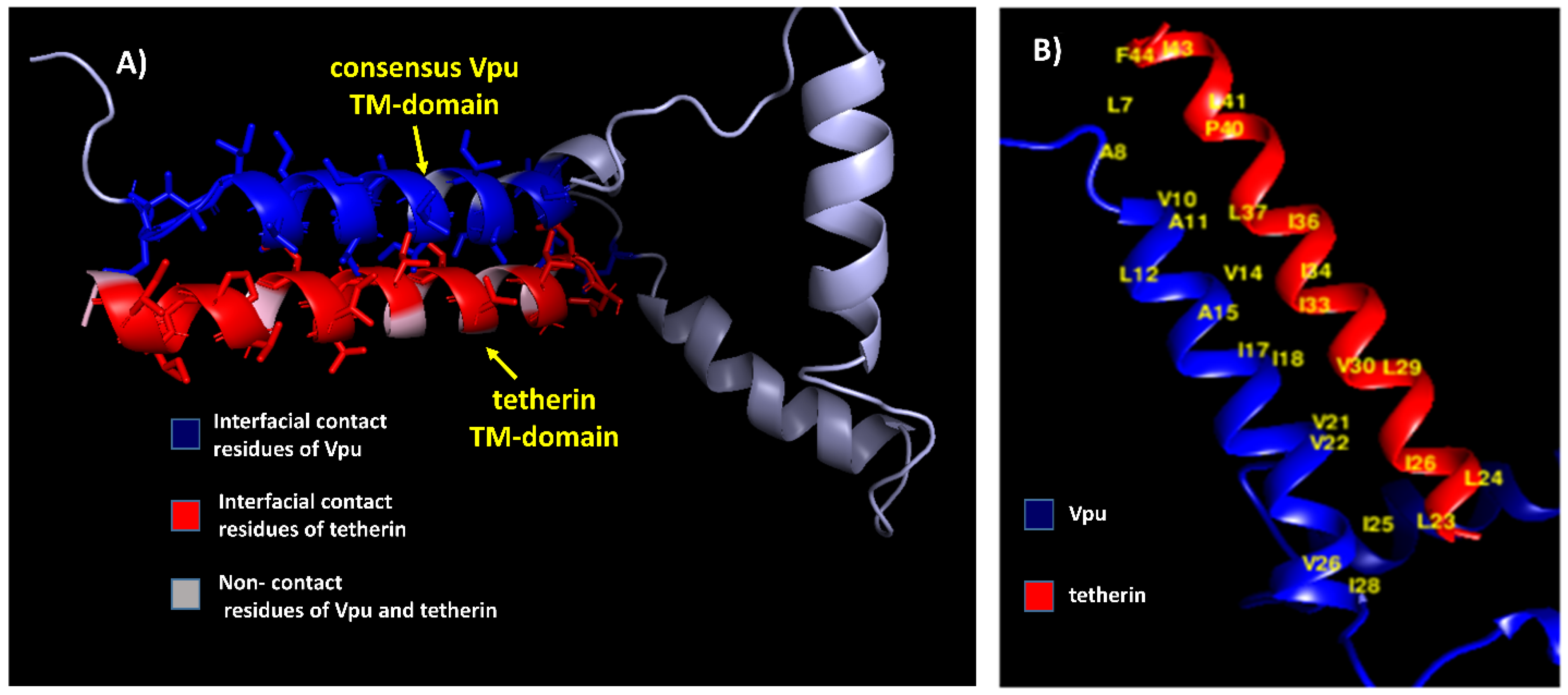 Medsci 07 00074 g005
