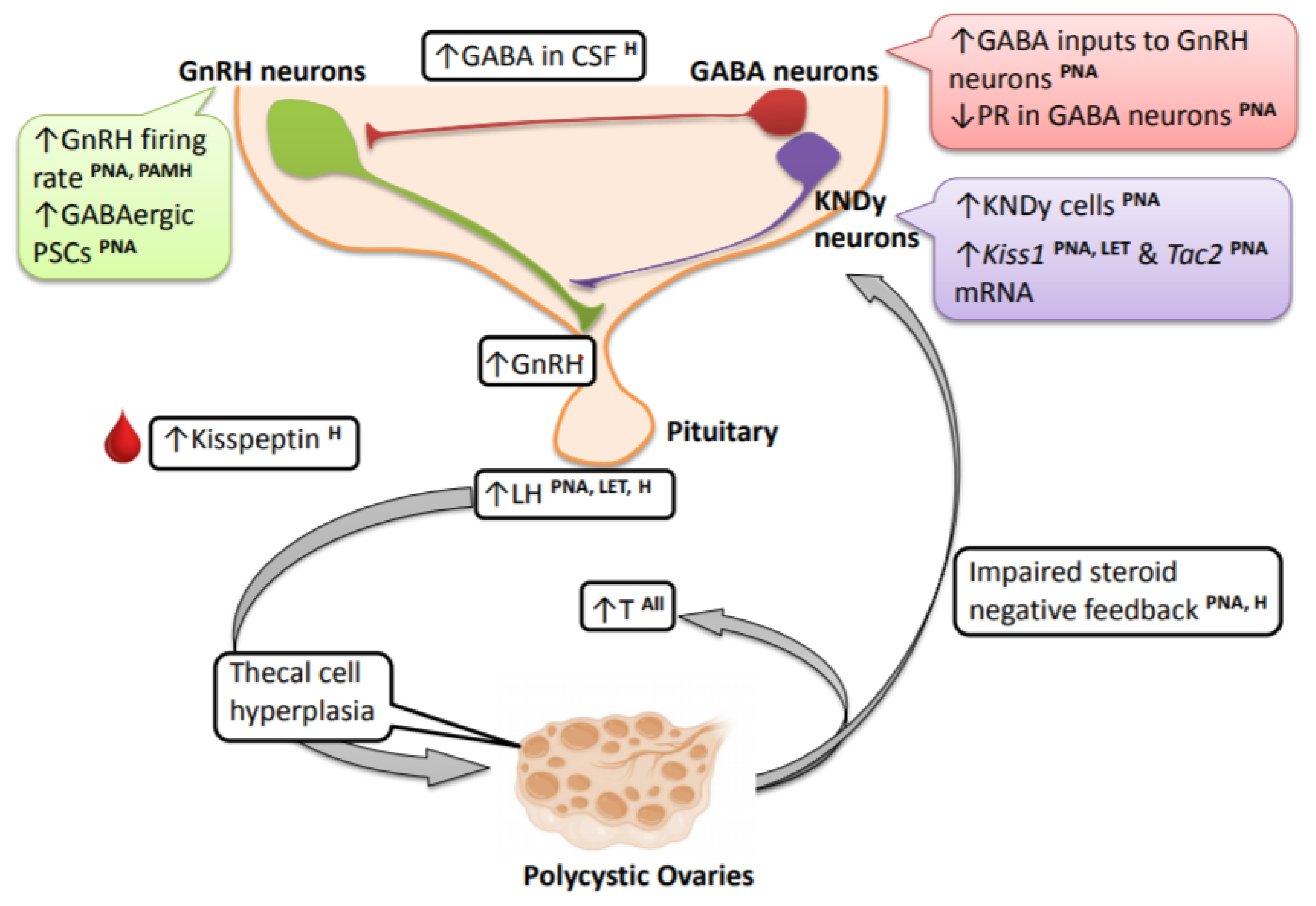 Medsci 07 00084 g001