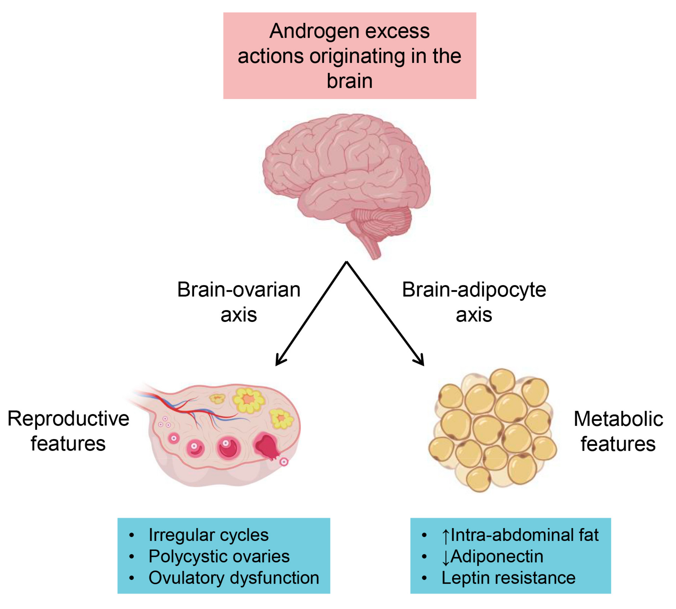 Medsci 07 00089 g003