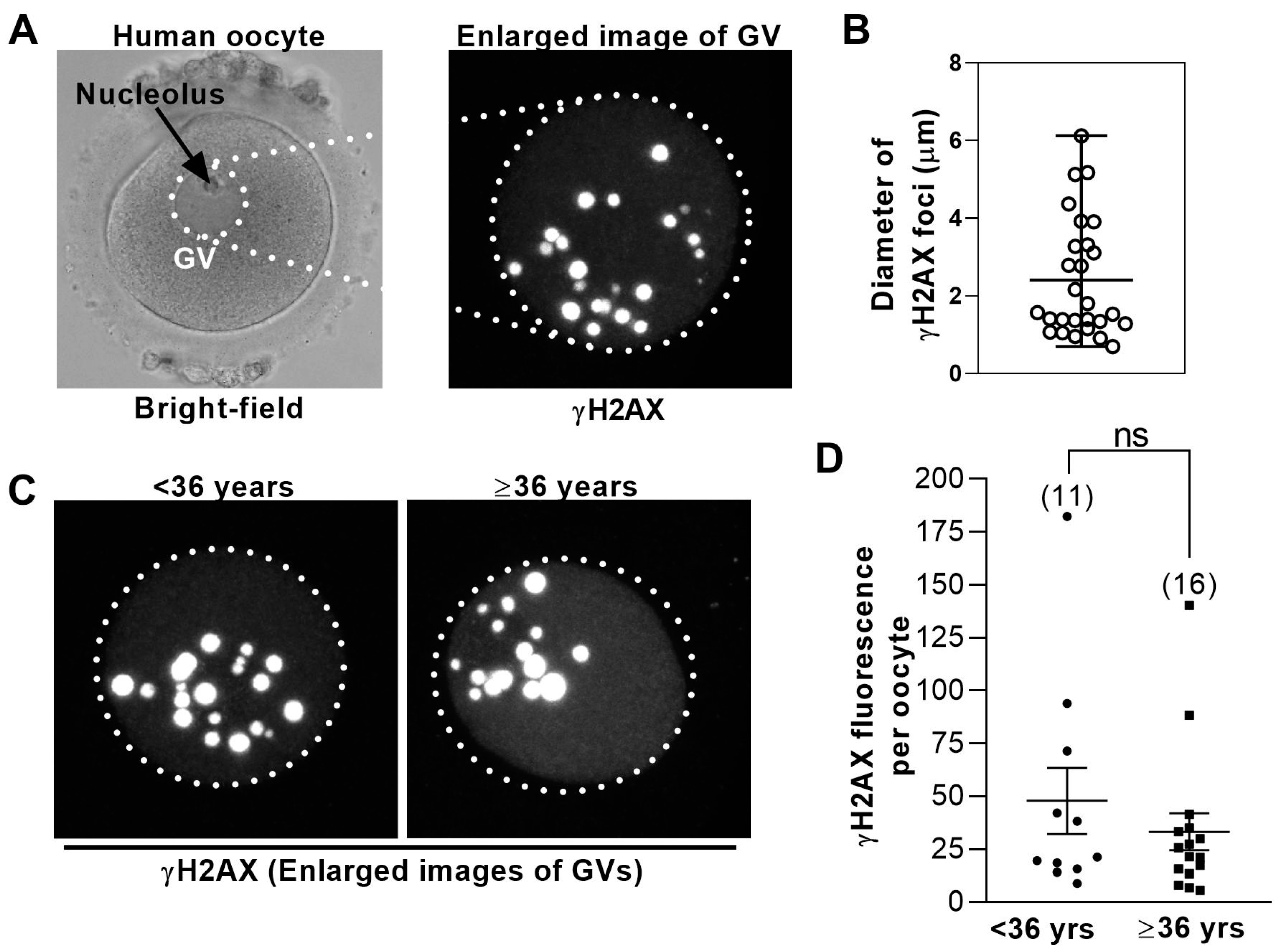 Medsci 08 00004 g001 Medsci 08 00004 g001