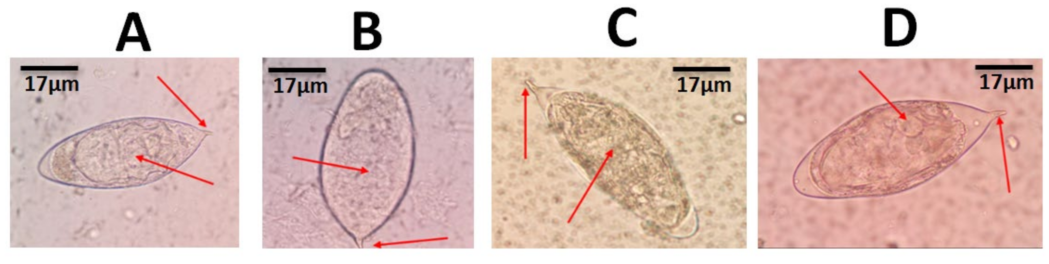 Medsci 08 00010 g002