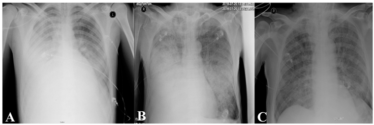 Medsci 08 00013 i002