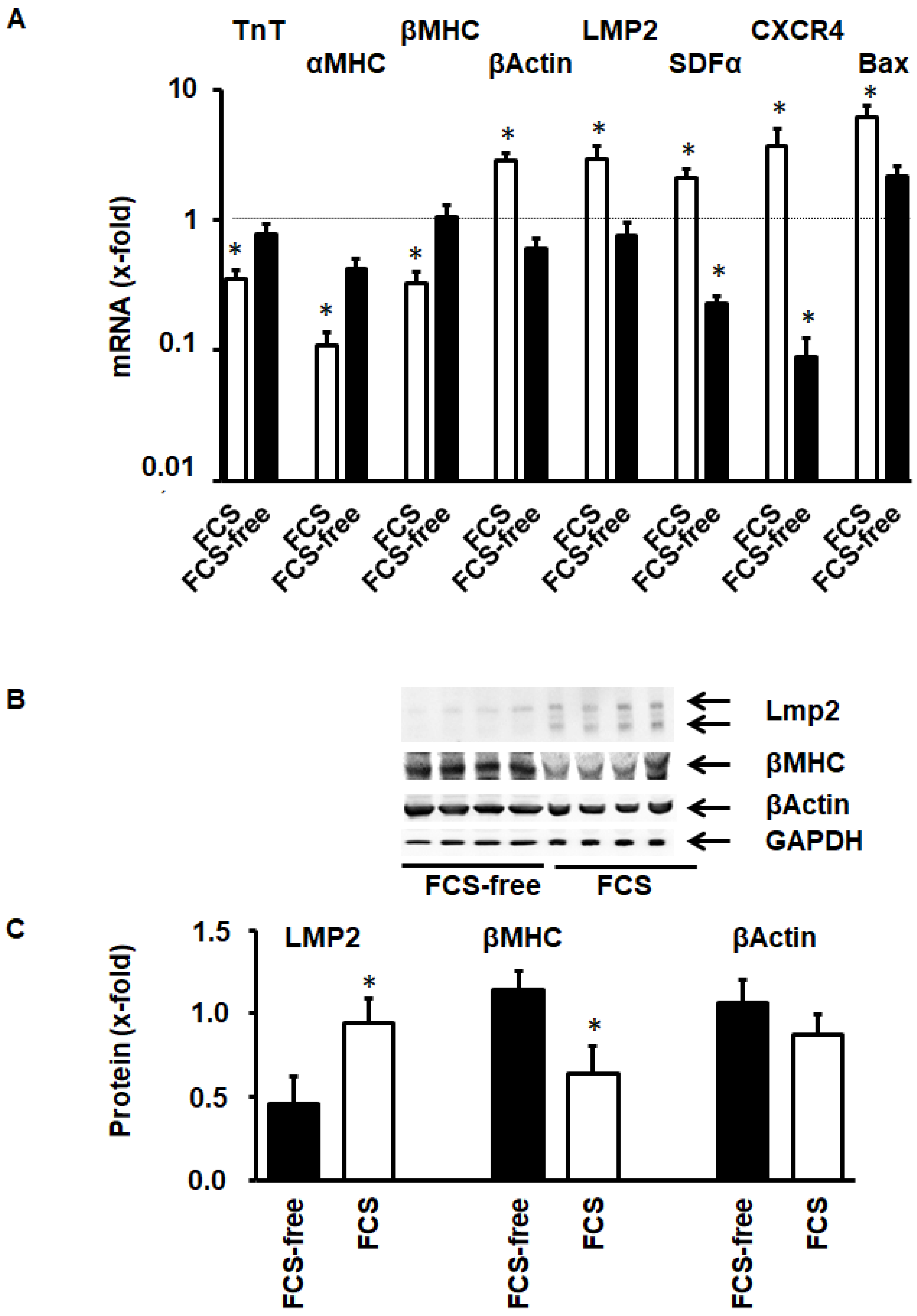 Medsci 08 00021 g005