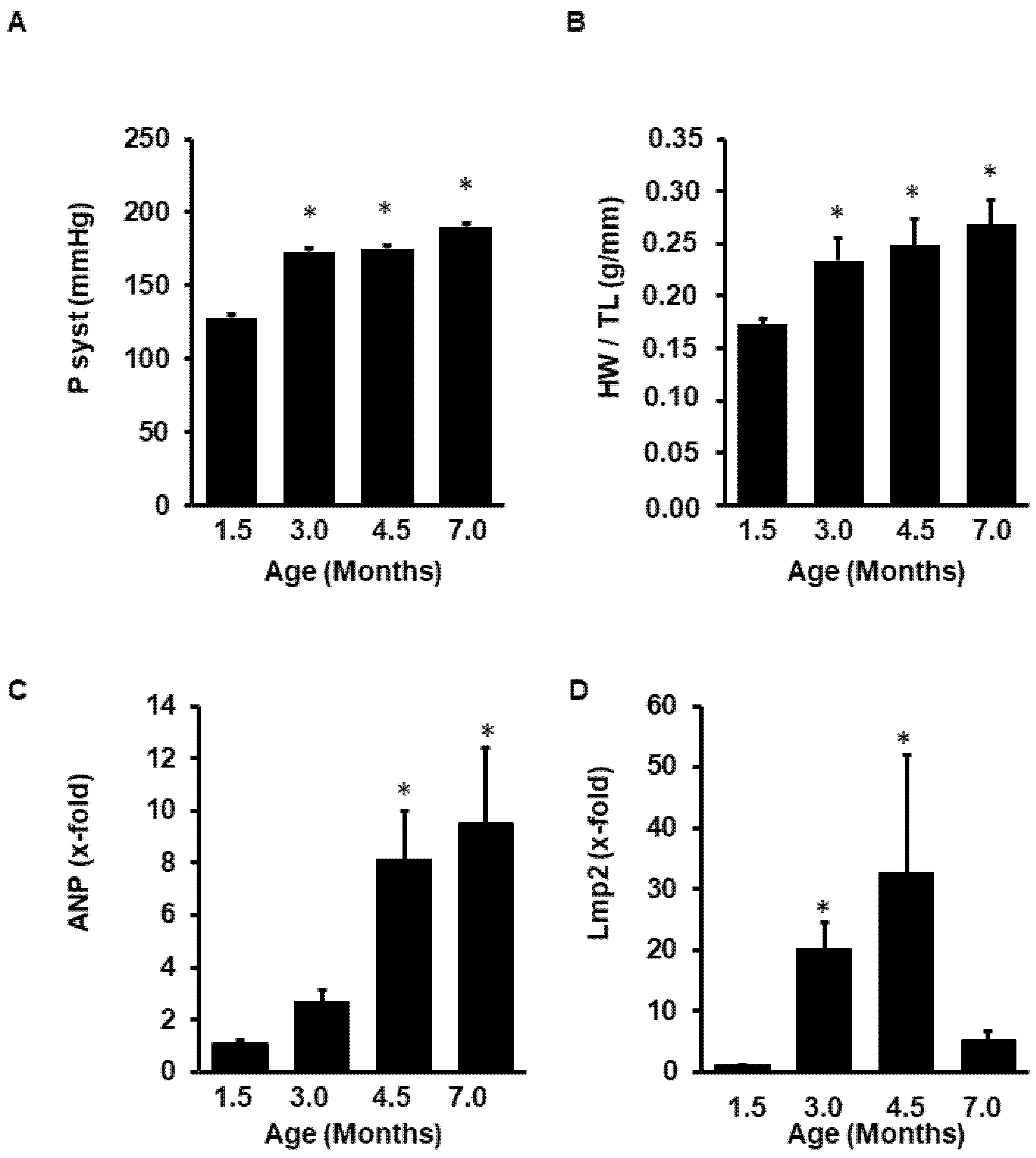 Medsci 08 00021 g008