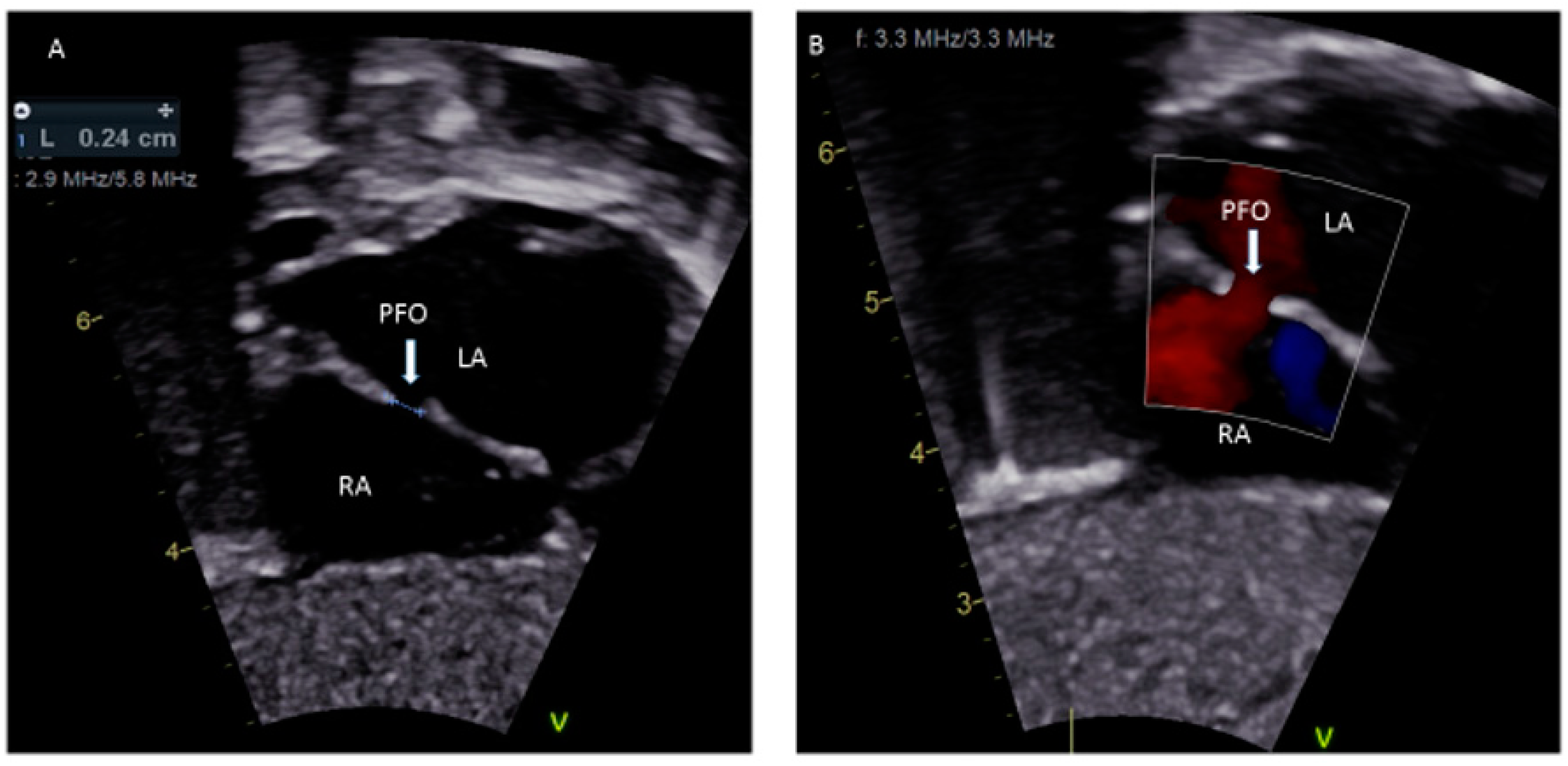Medsci 08 00025 g001