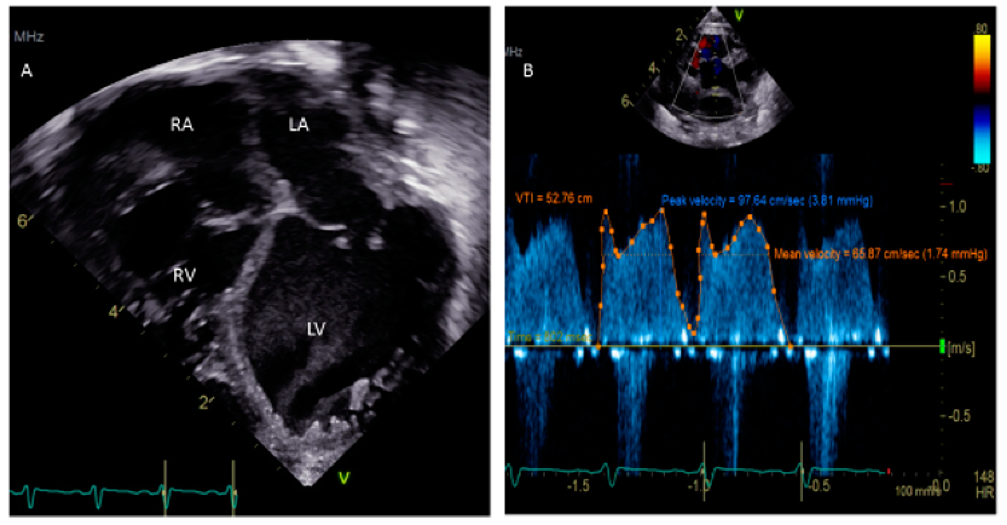 Medsci 08 00025 g003