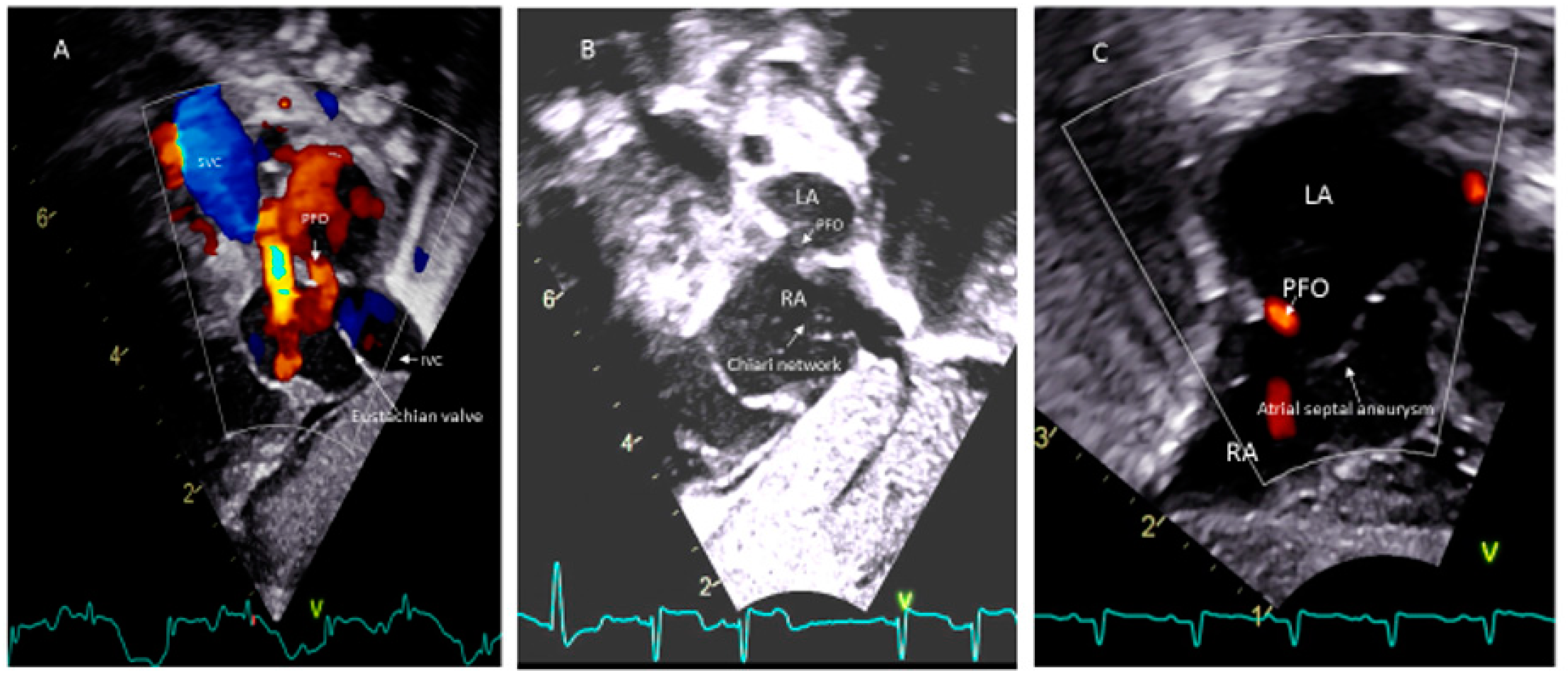 Medsci 08 00025 g004