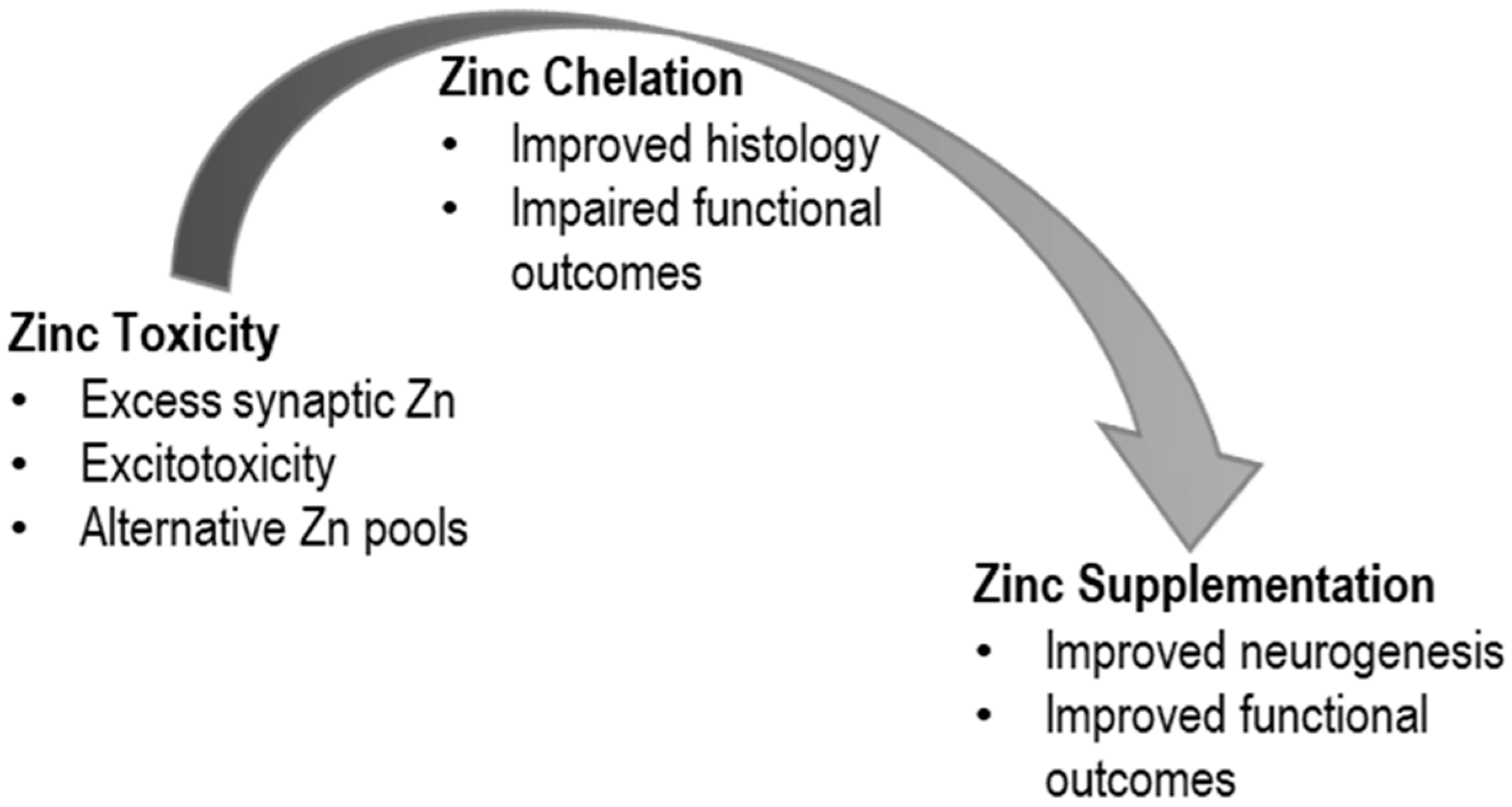 Medsci 08 00036 g001
