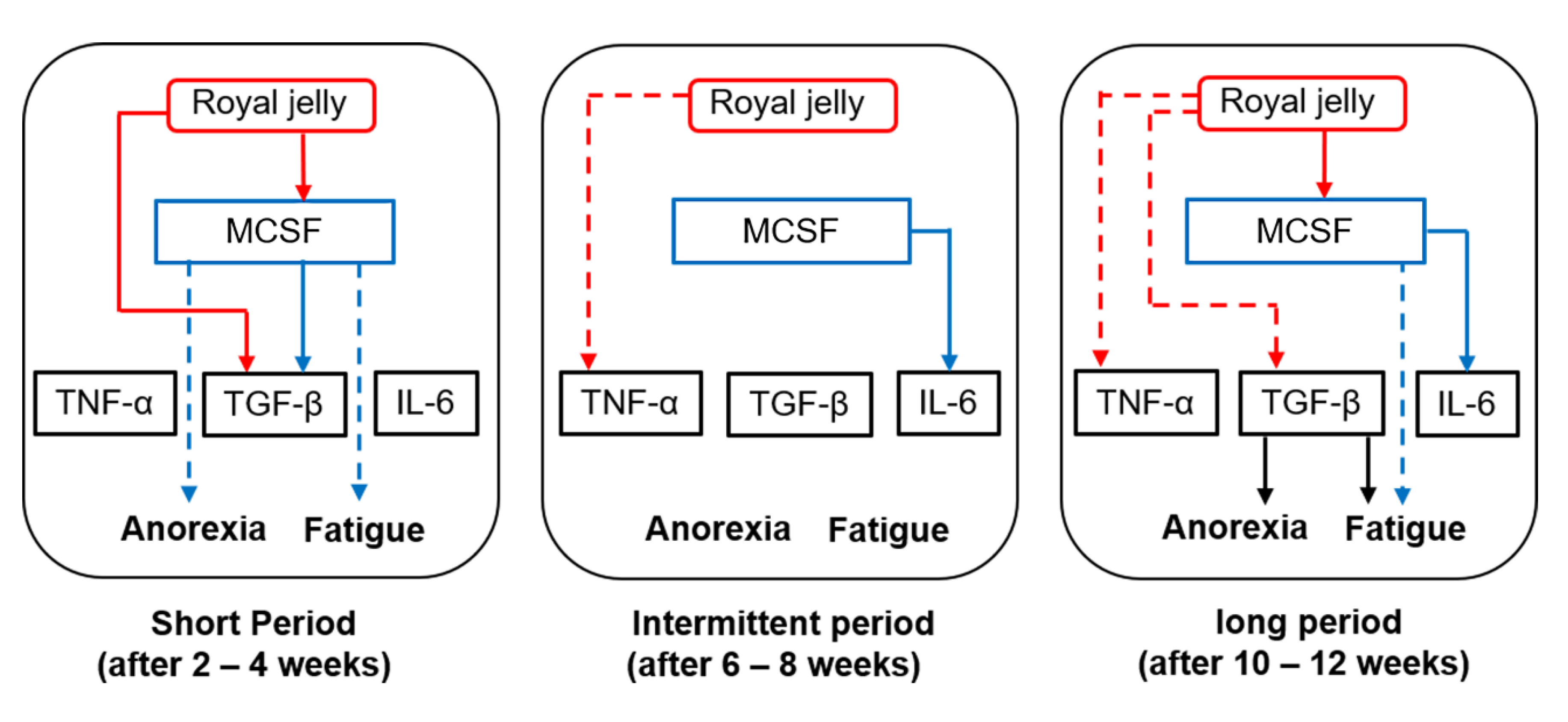 Medsci 08 00043 g002