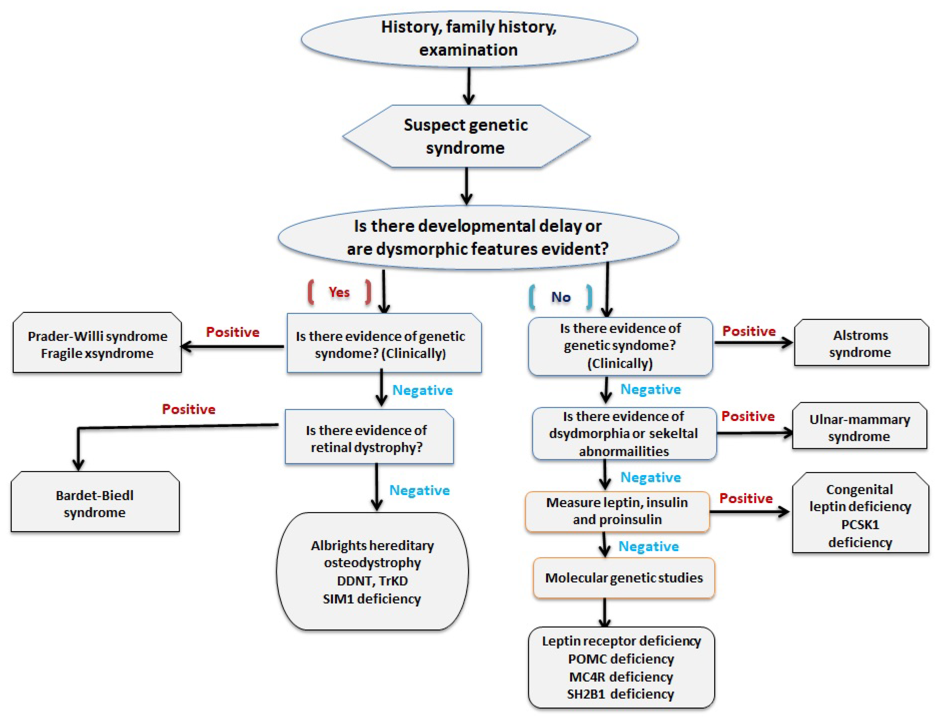 Medsci 08 00051 g002