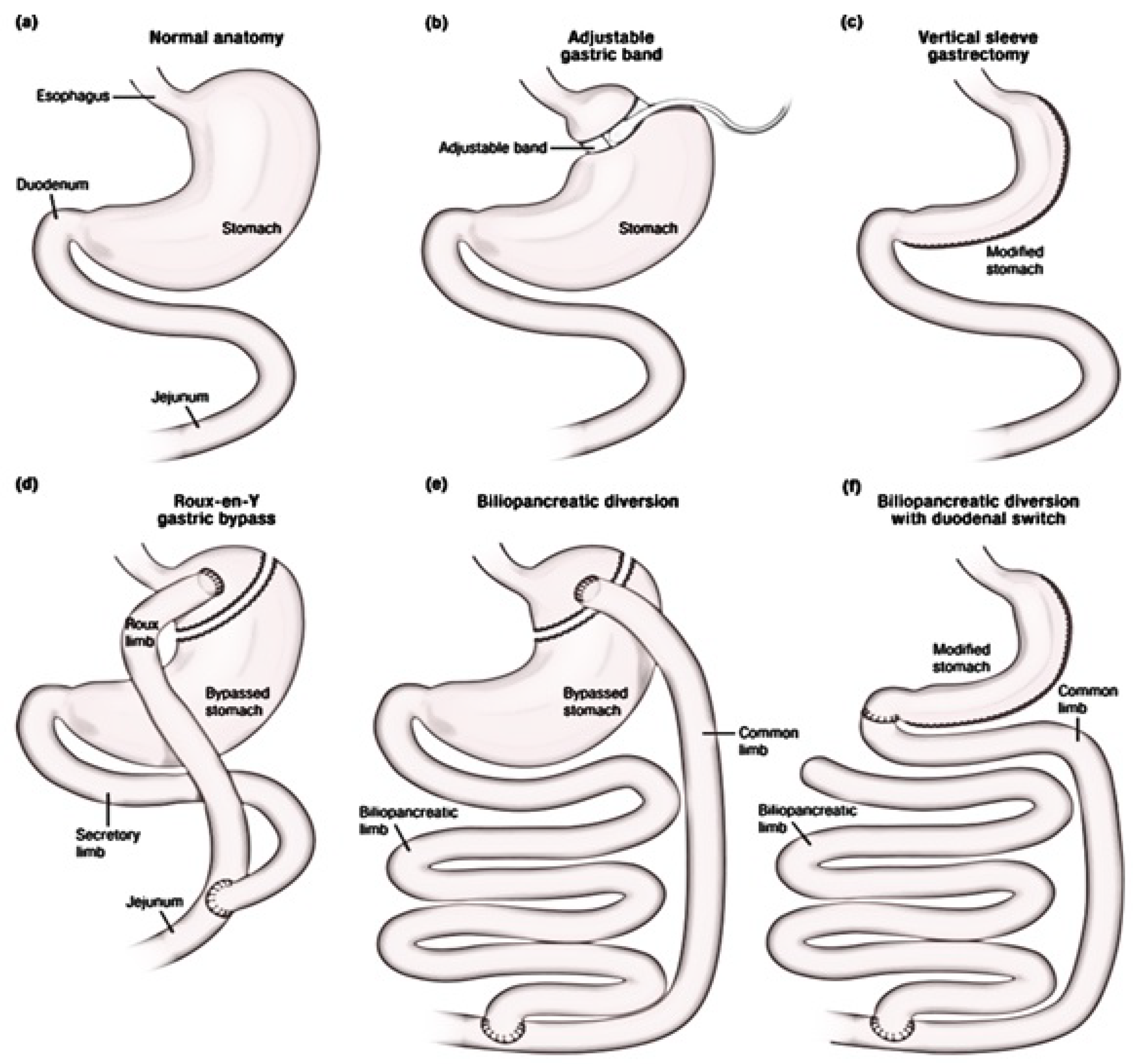 Medsci 08 00051 g004