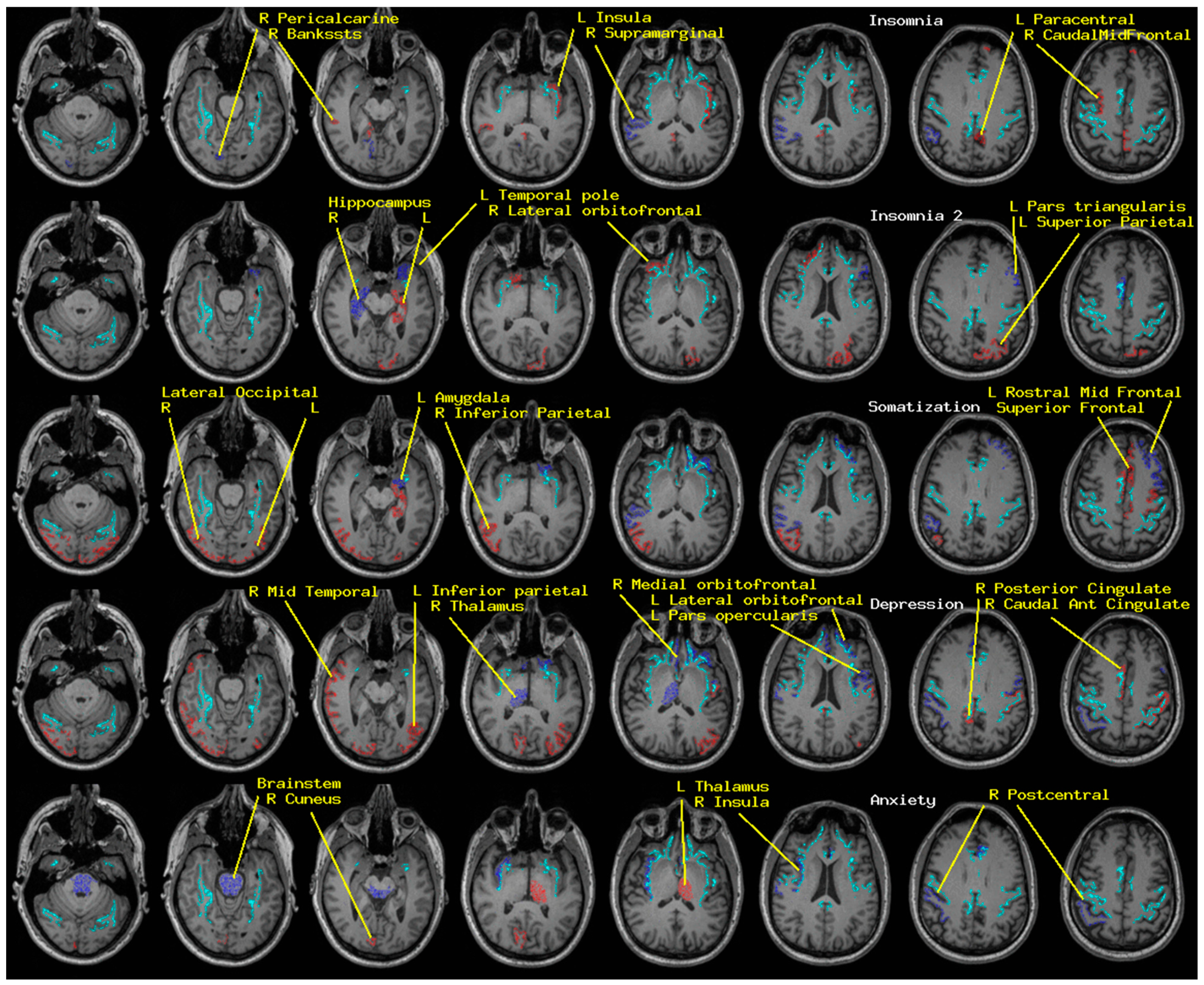 Medsci 09 00020 g001