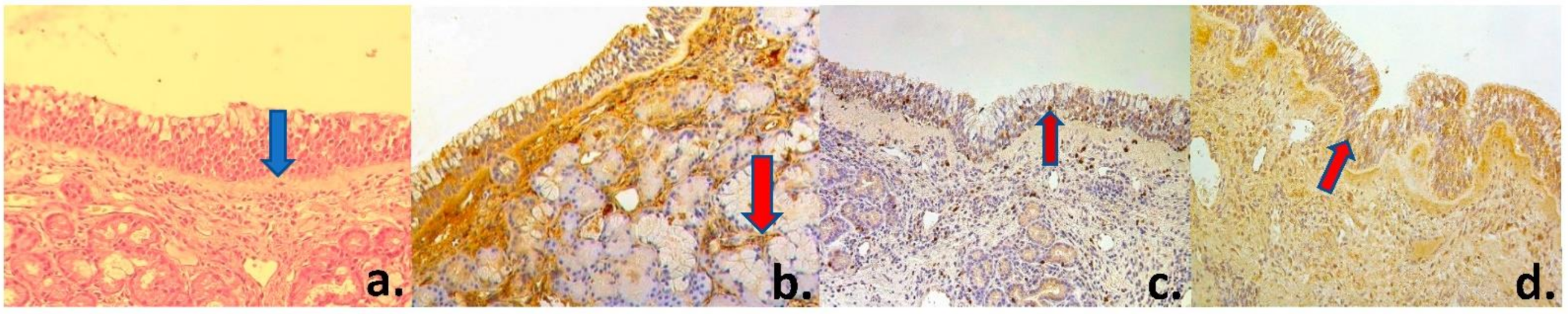 Medsci 09 00025 g001