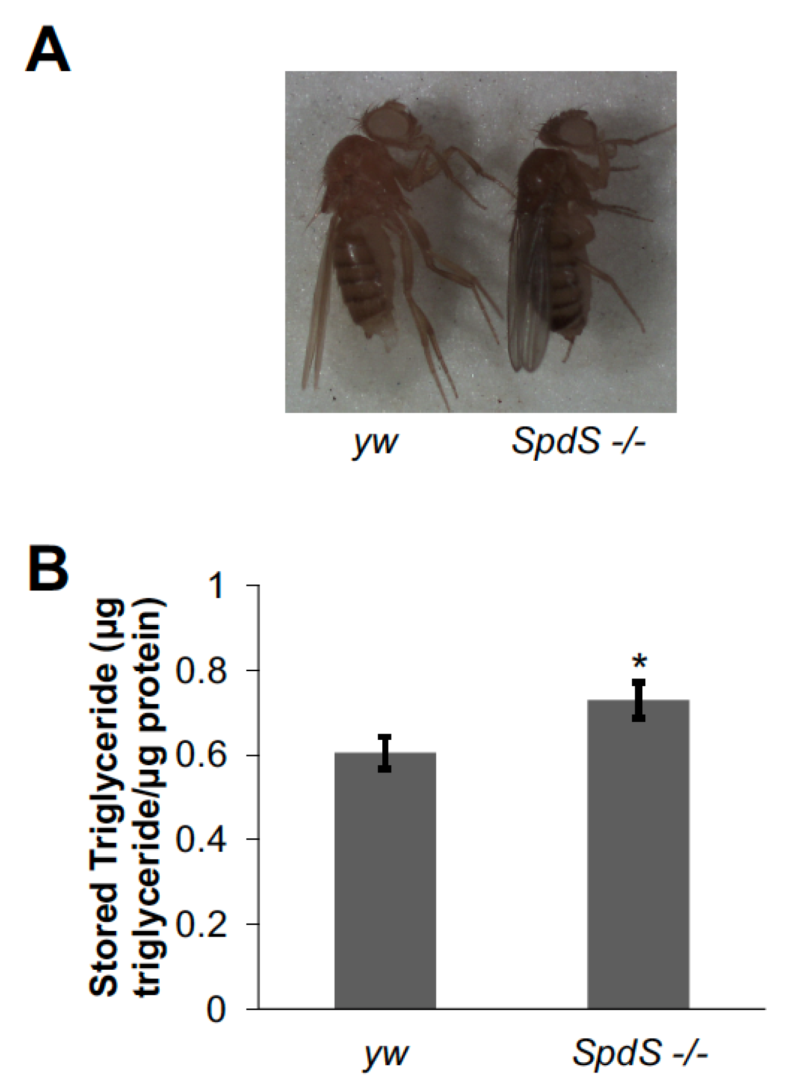 Medsci 09 00027 g001 Medsci 09 00027 g001