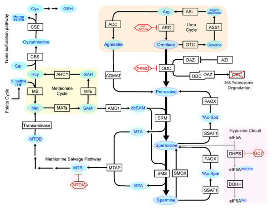 Medsci 09 00028 g001