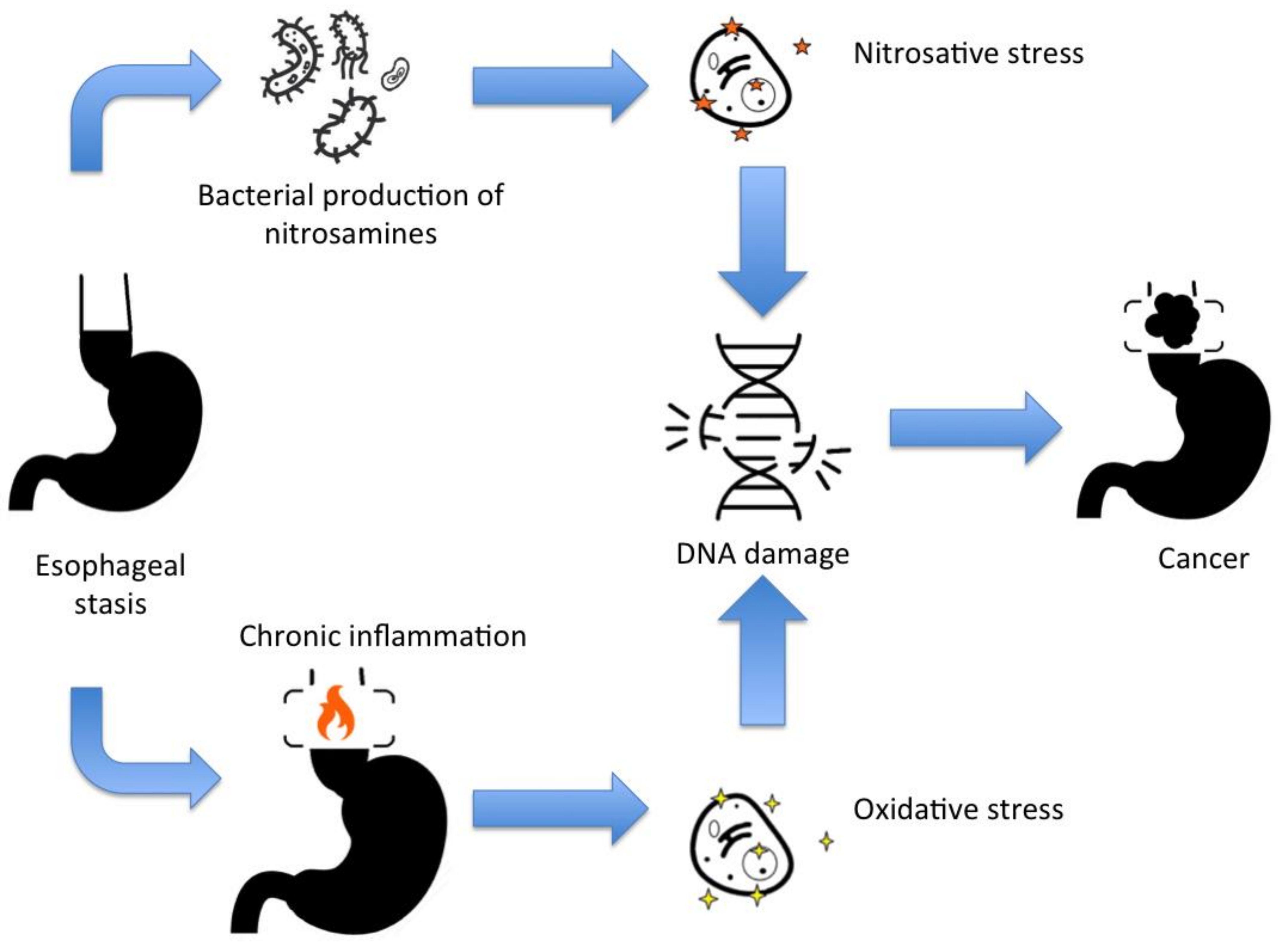 Medsci 09 00032 g001