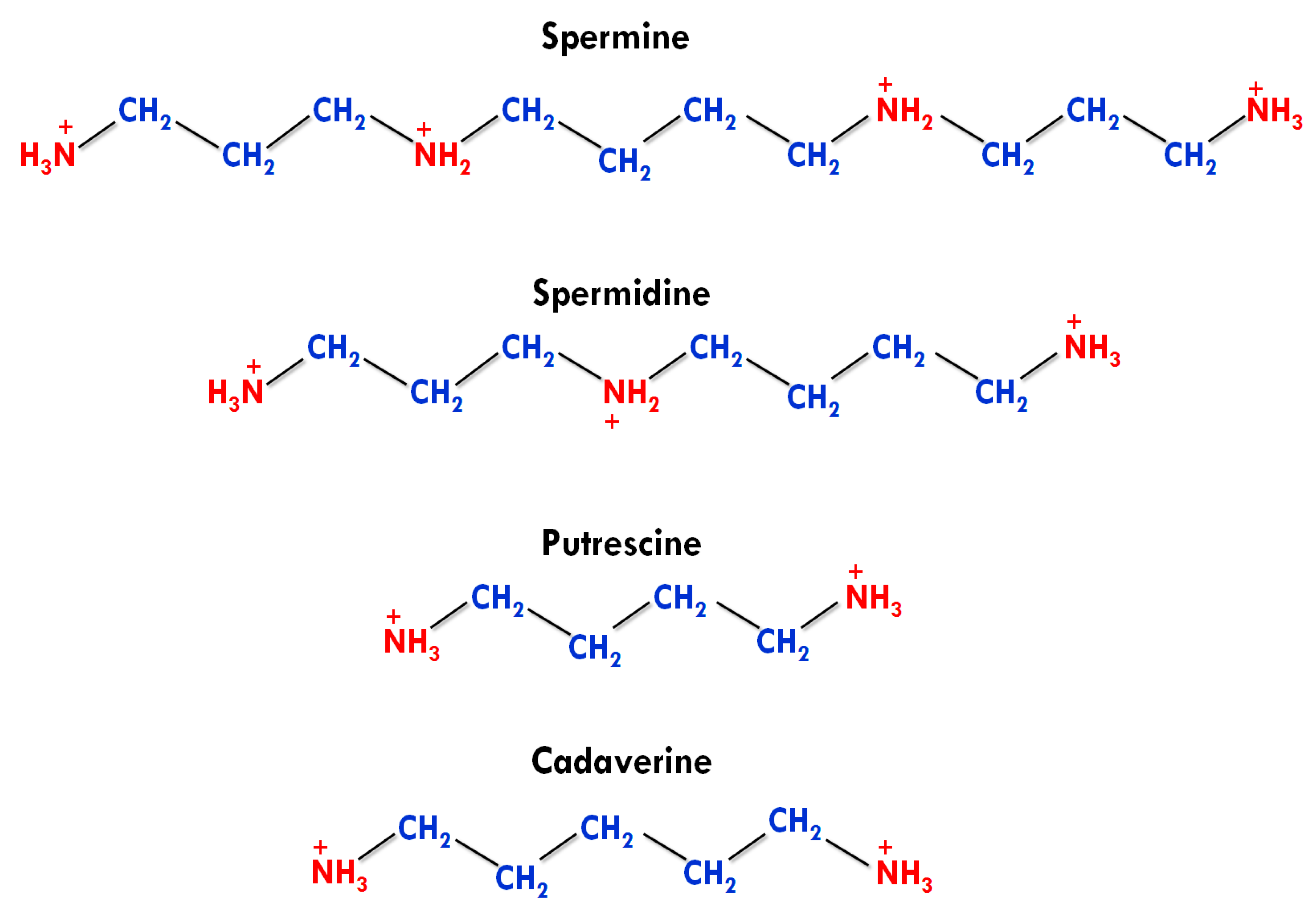 Medsci 09 00044 g001