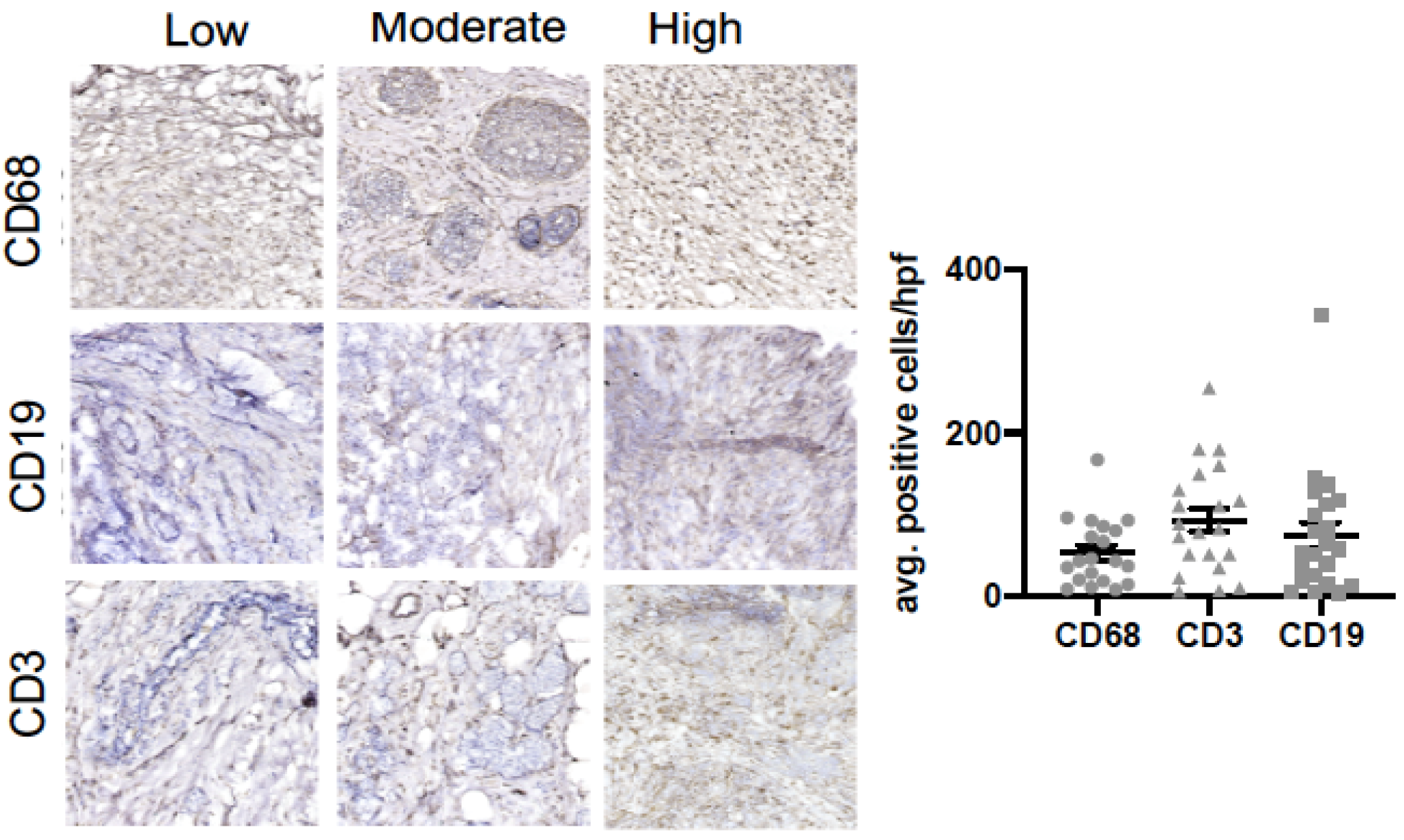 Medsci 09 00046 g001