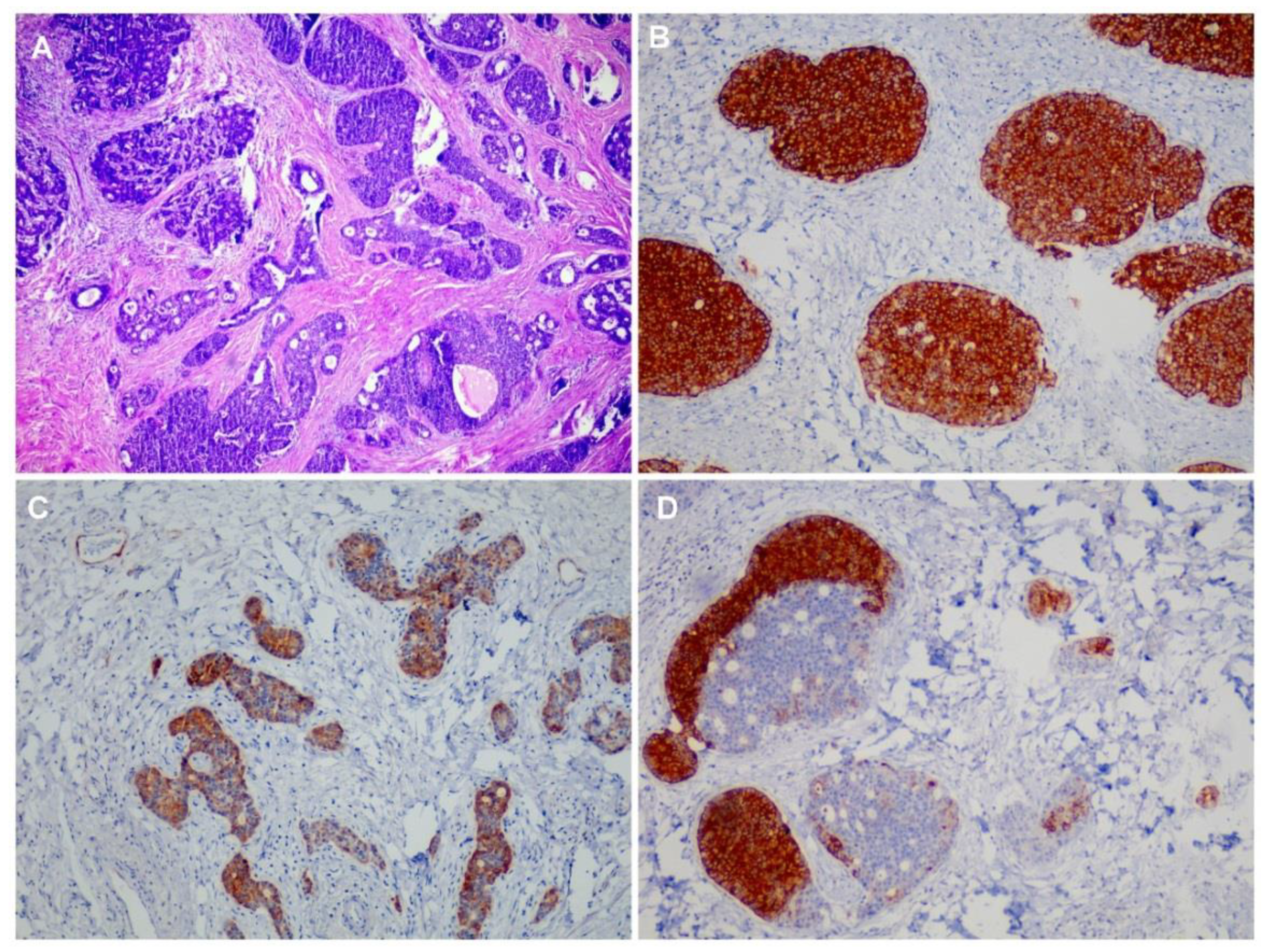 Medsci 09 00047 g001