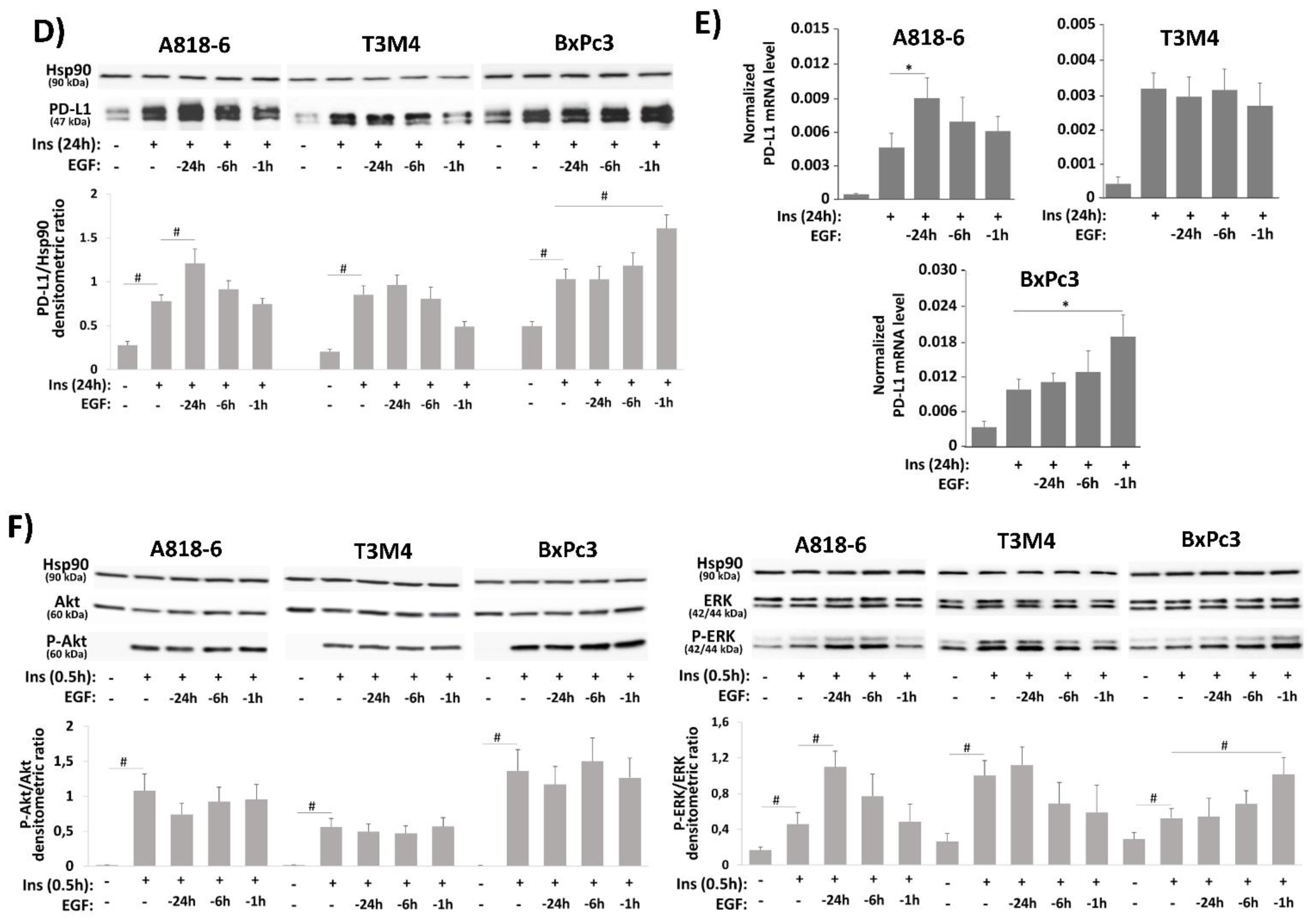 Medsci 09 00048 g004b