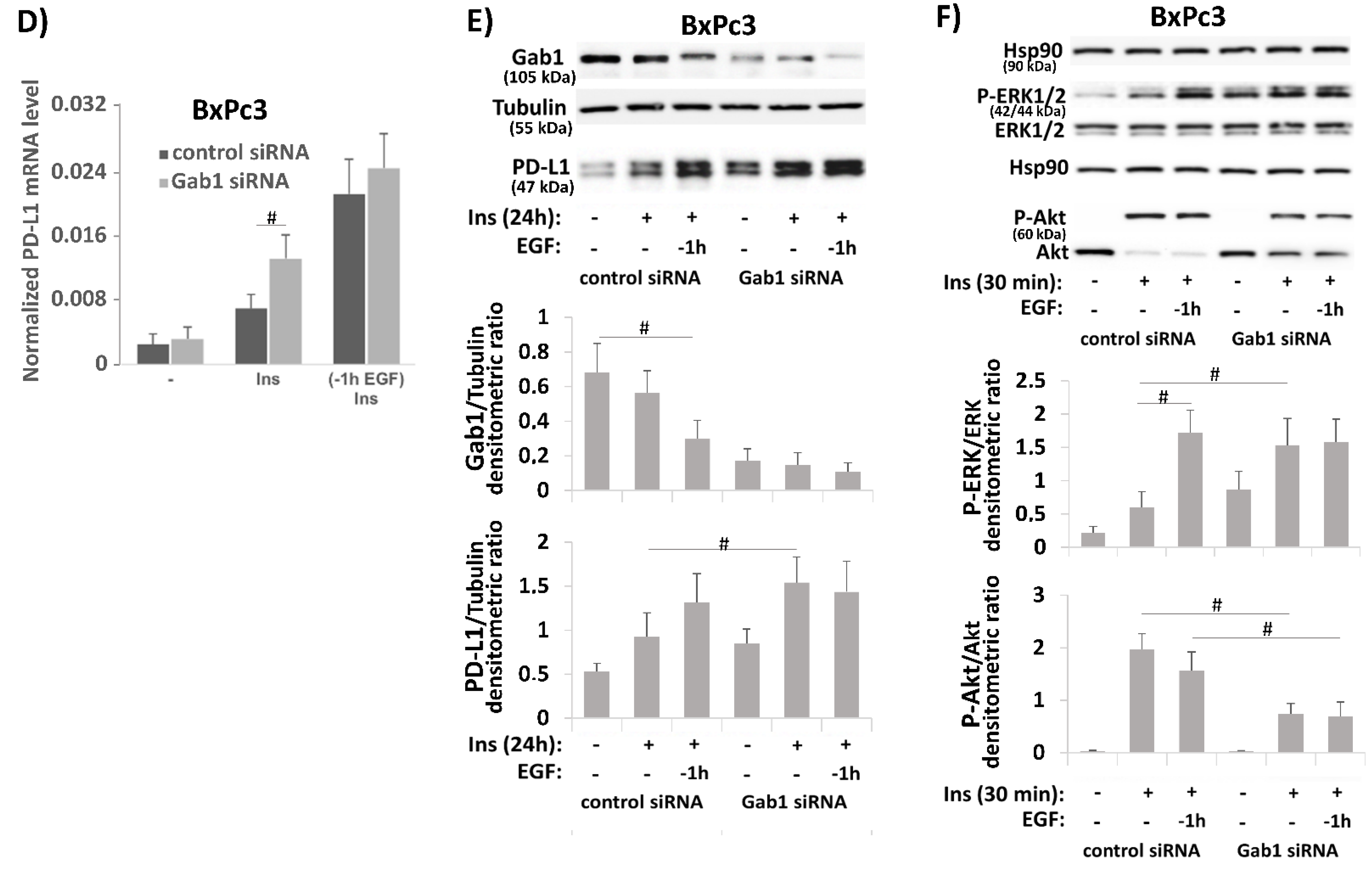 Medsci 09 00048 g005b