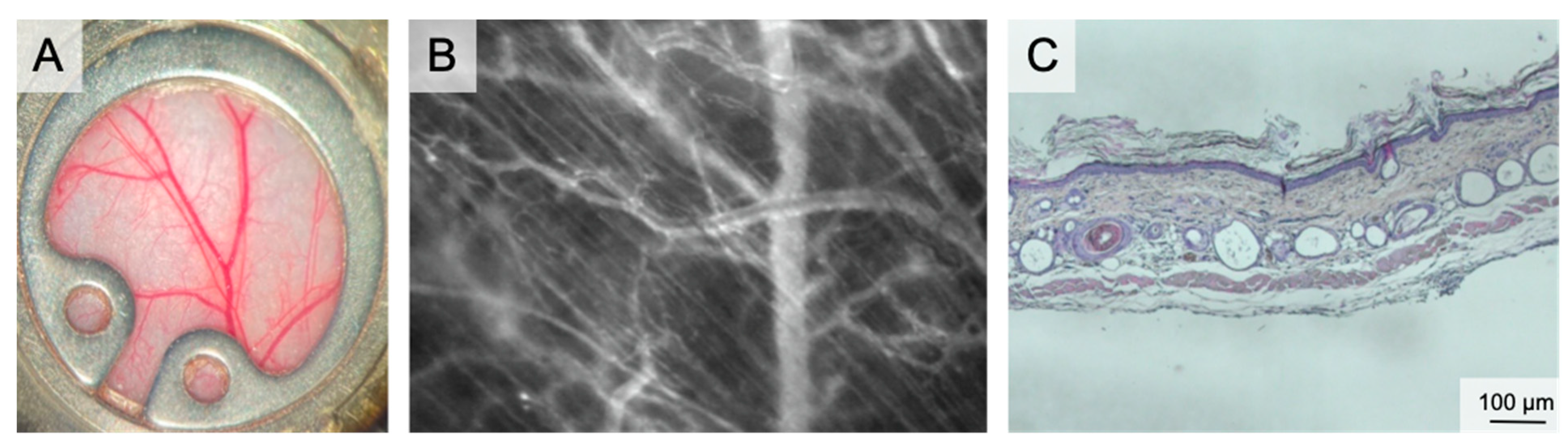 Medsci 09 00055 g001