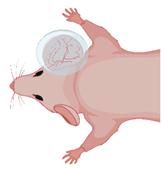 Medsci 09 00055 i002