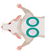 Medsci 09 00055 i003