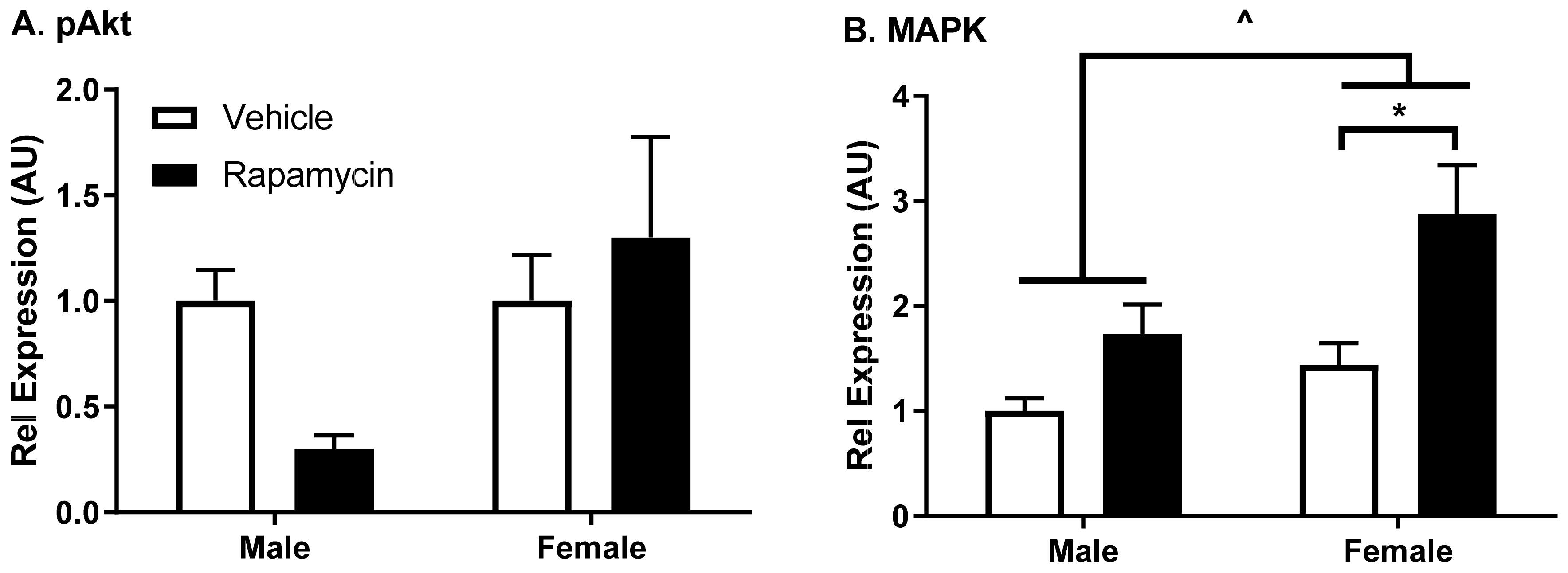 Medsci 09 00056 g005