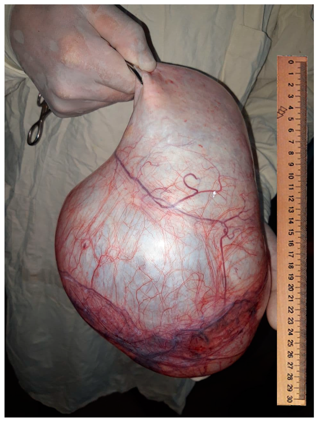 Medsci 09 00070 g001