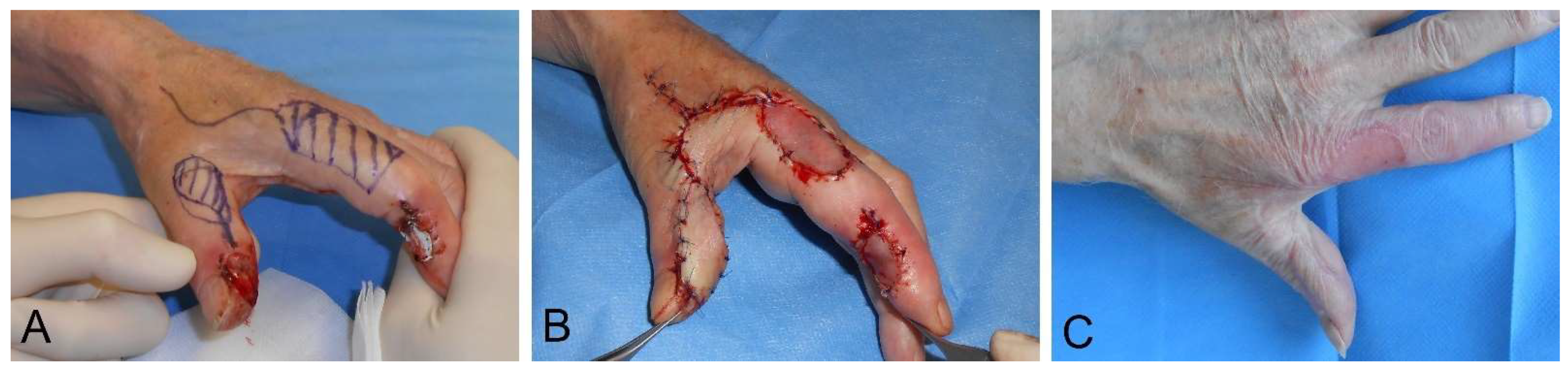 Medsci 09 00071 g001