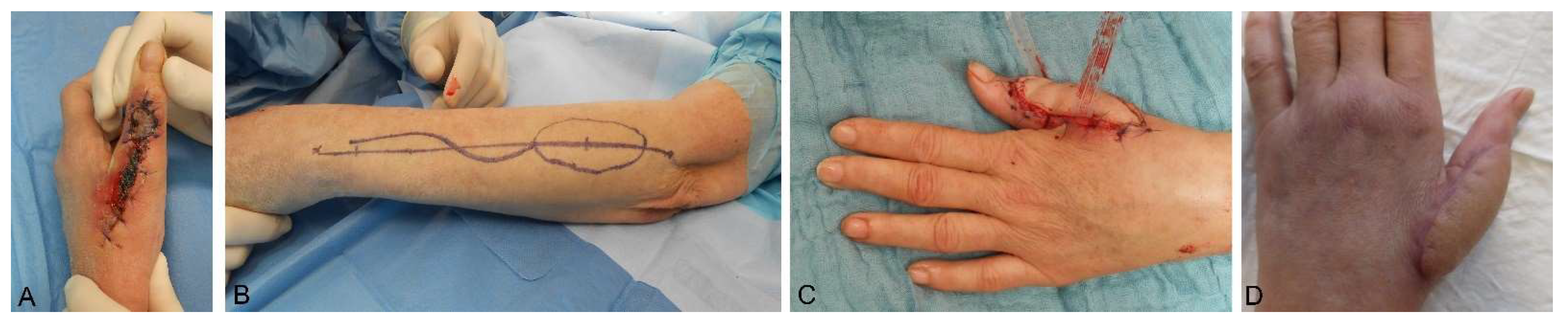 Medsci 09 00071 g002