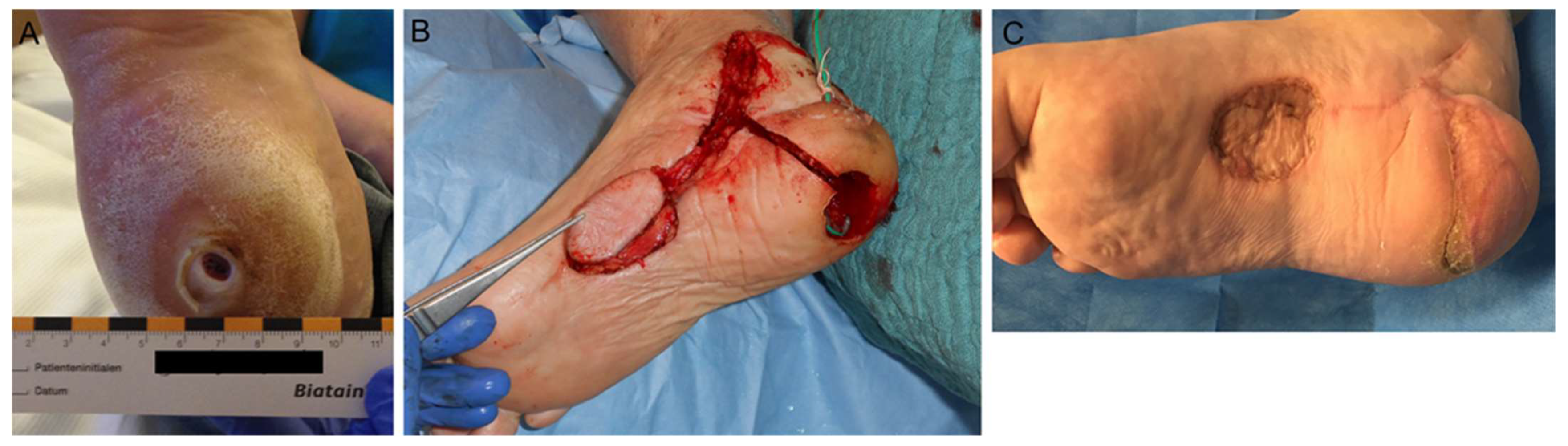 Medsci 09 00071 g004