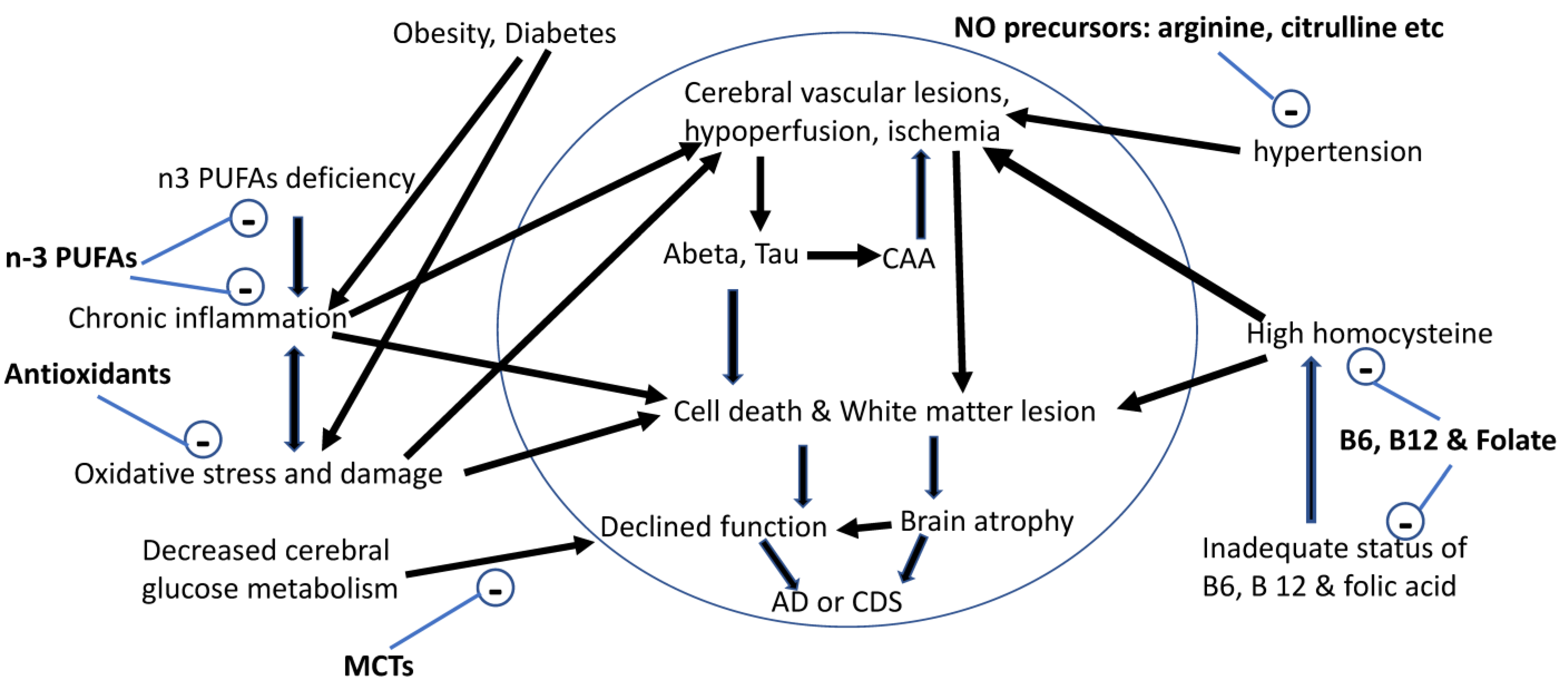 Medsci 09 00072 g001