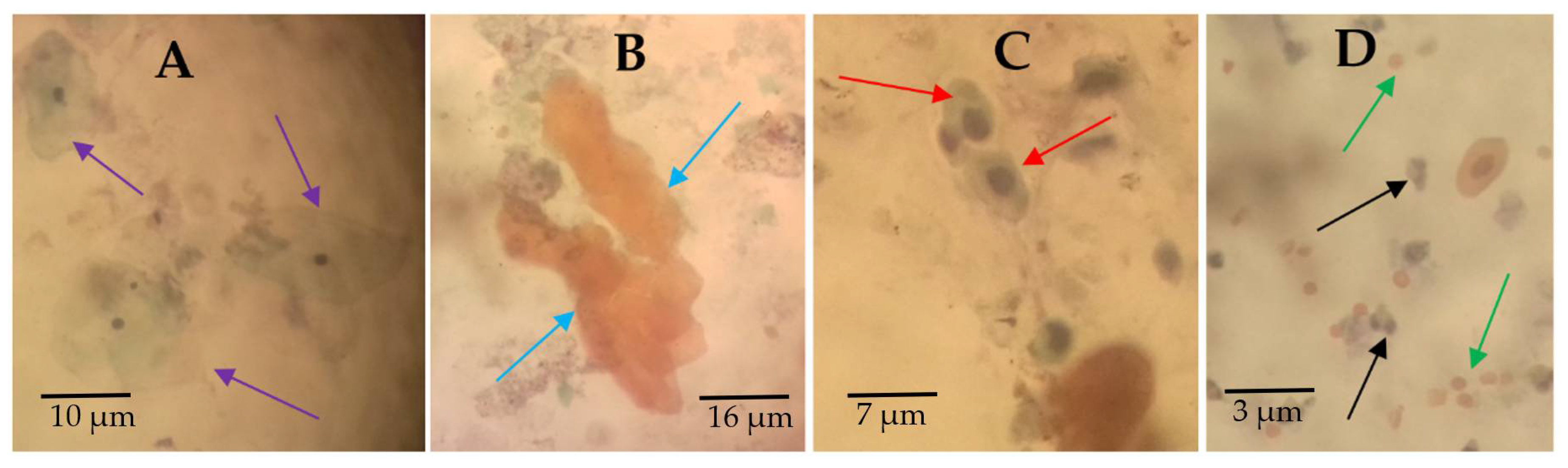 Medsci 10 00014 g003