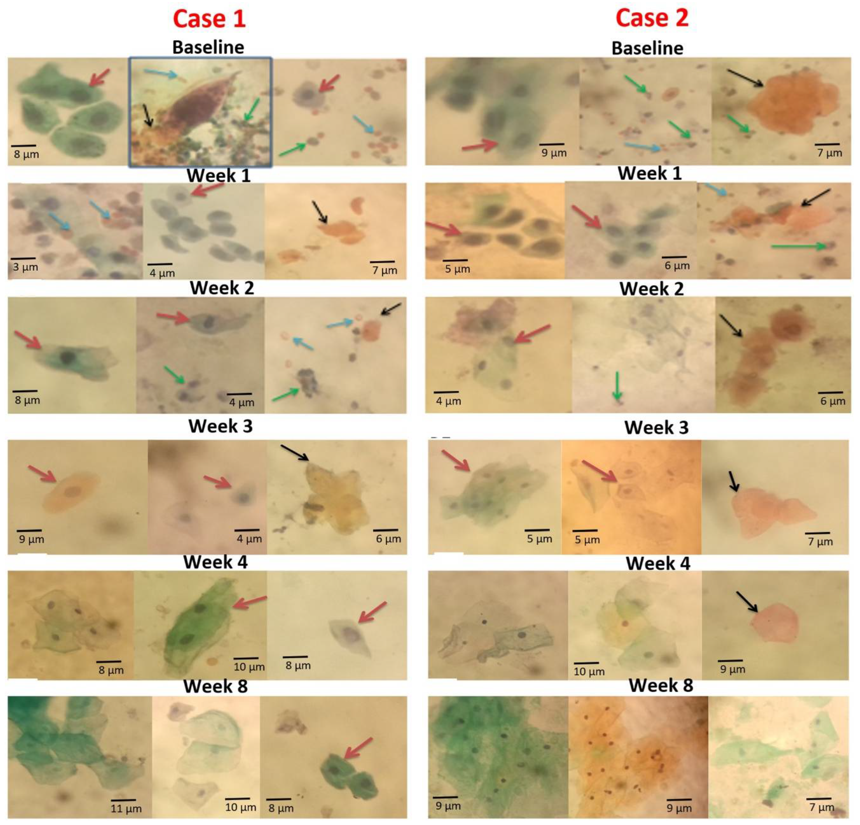 Medsci 10 00014 g005