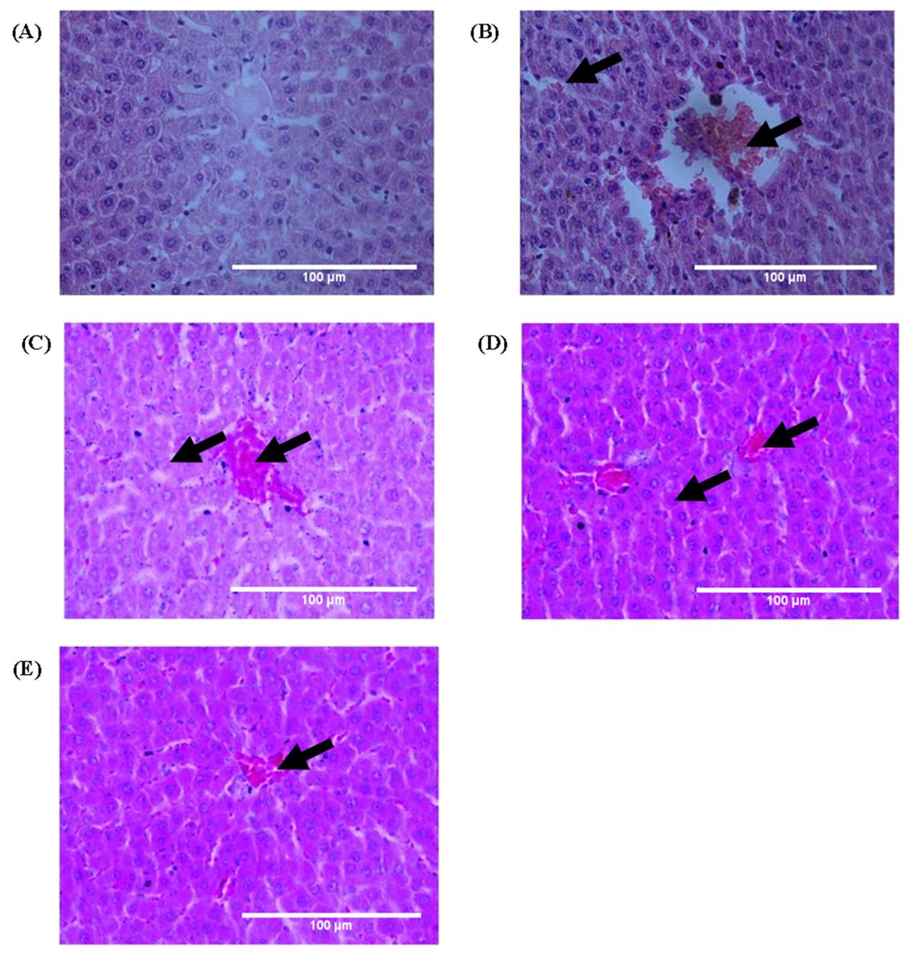 Medsci 10 00017 g006