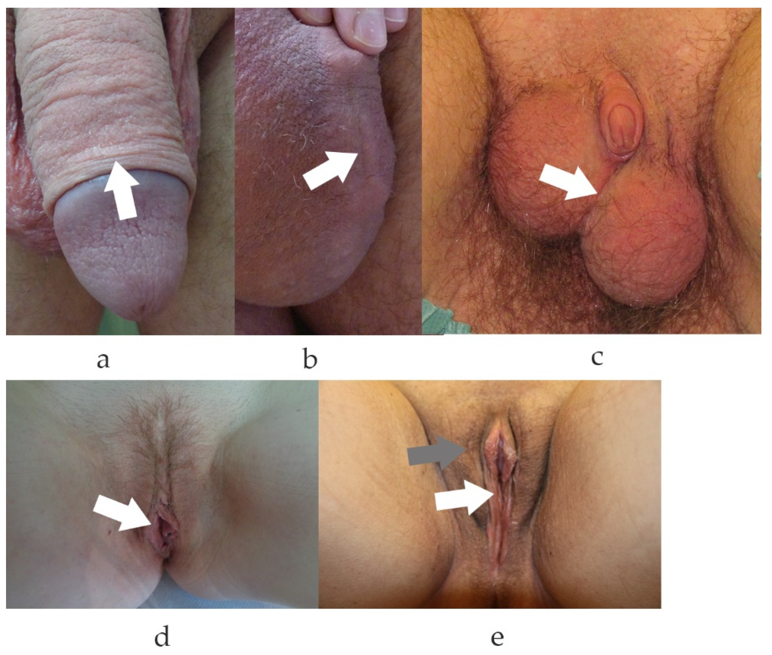 Medsci 10 00023 g001