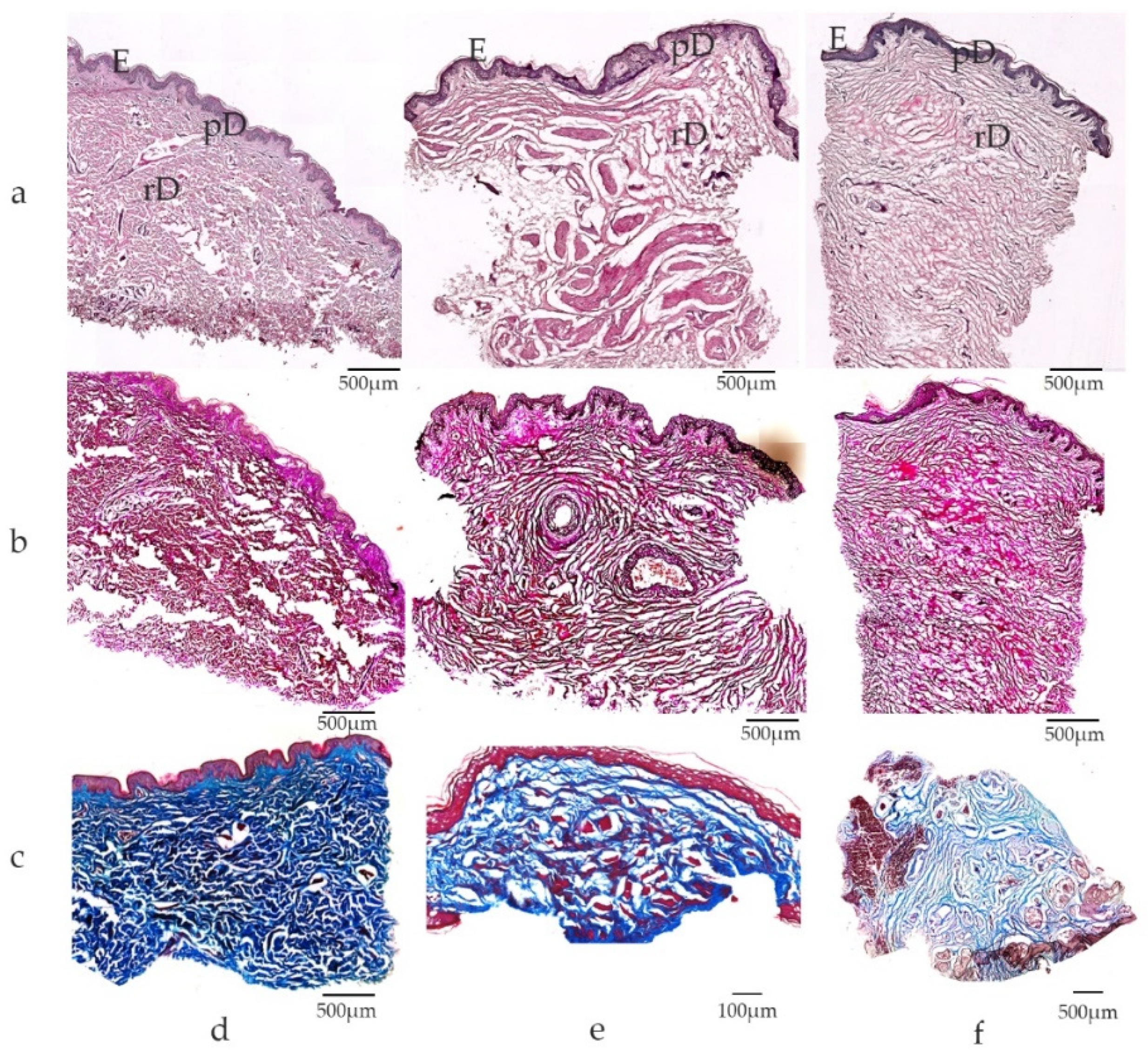 Medsci 10 00023 g003