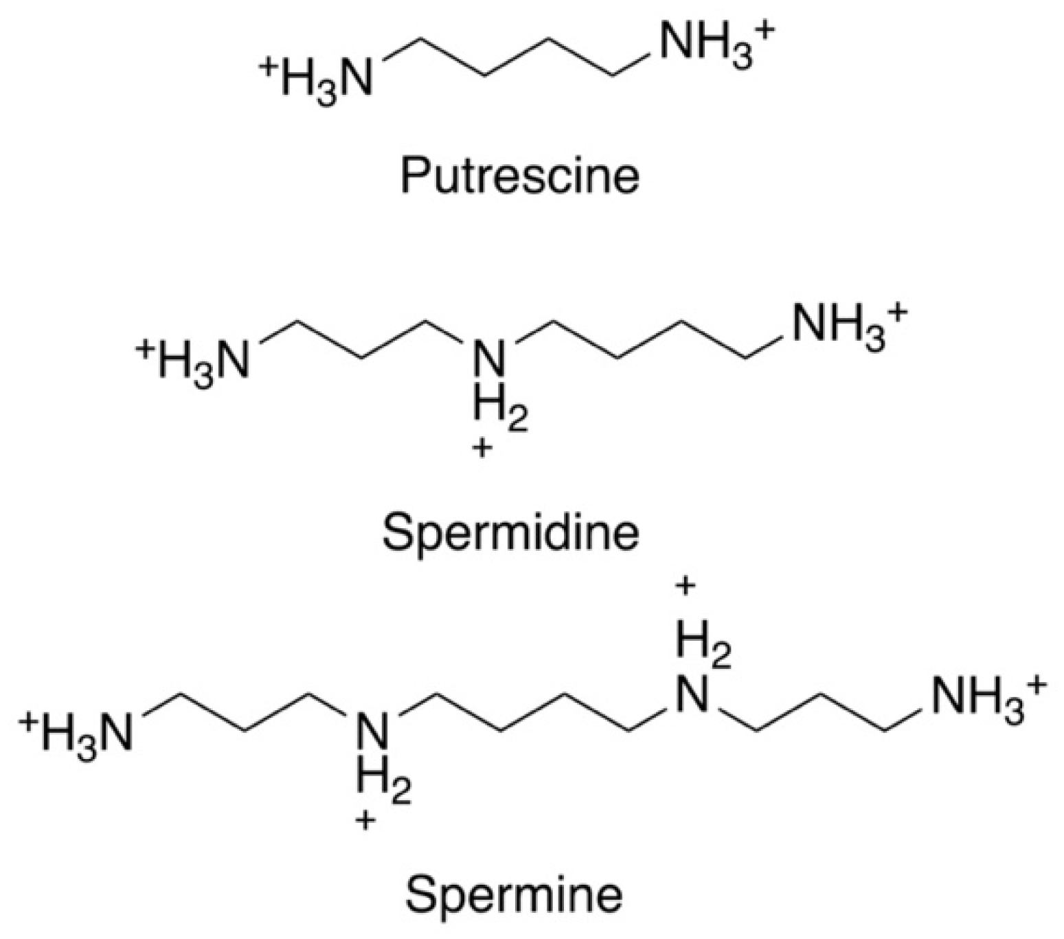 Medsci 10 00024 g001