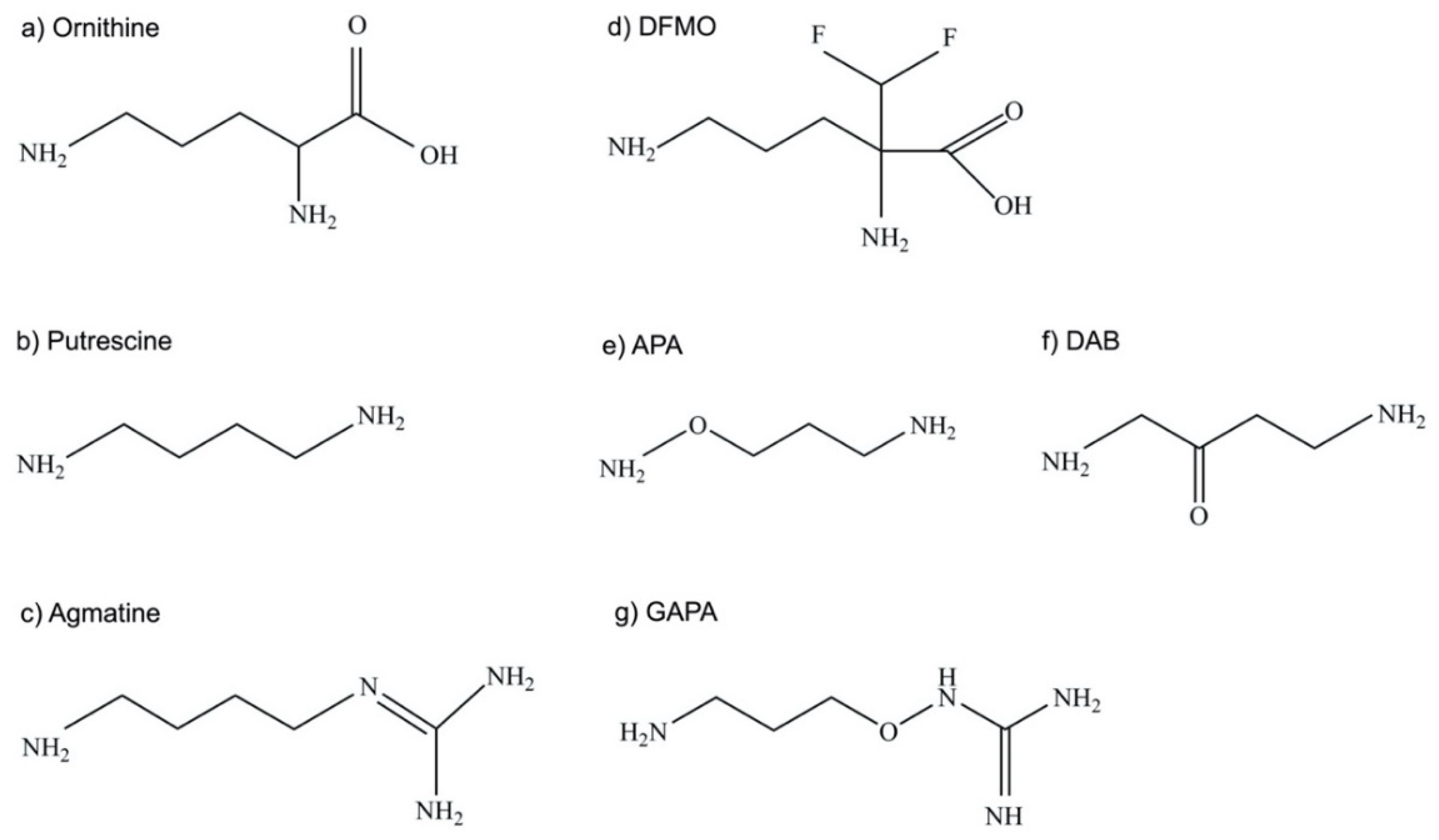 Medsci 10 00024 g005