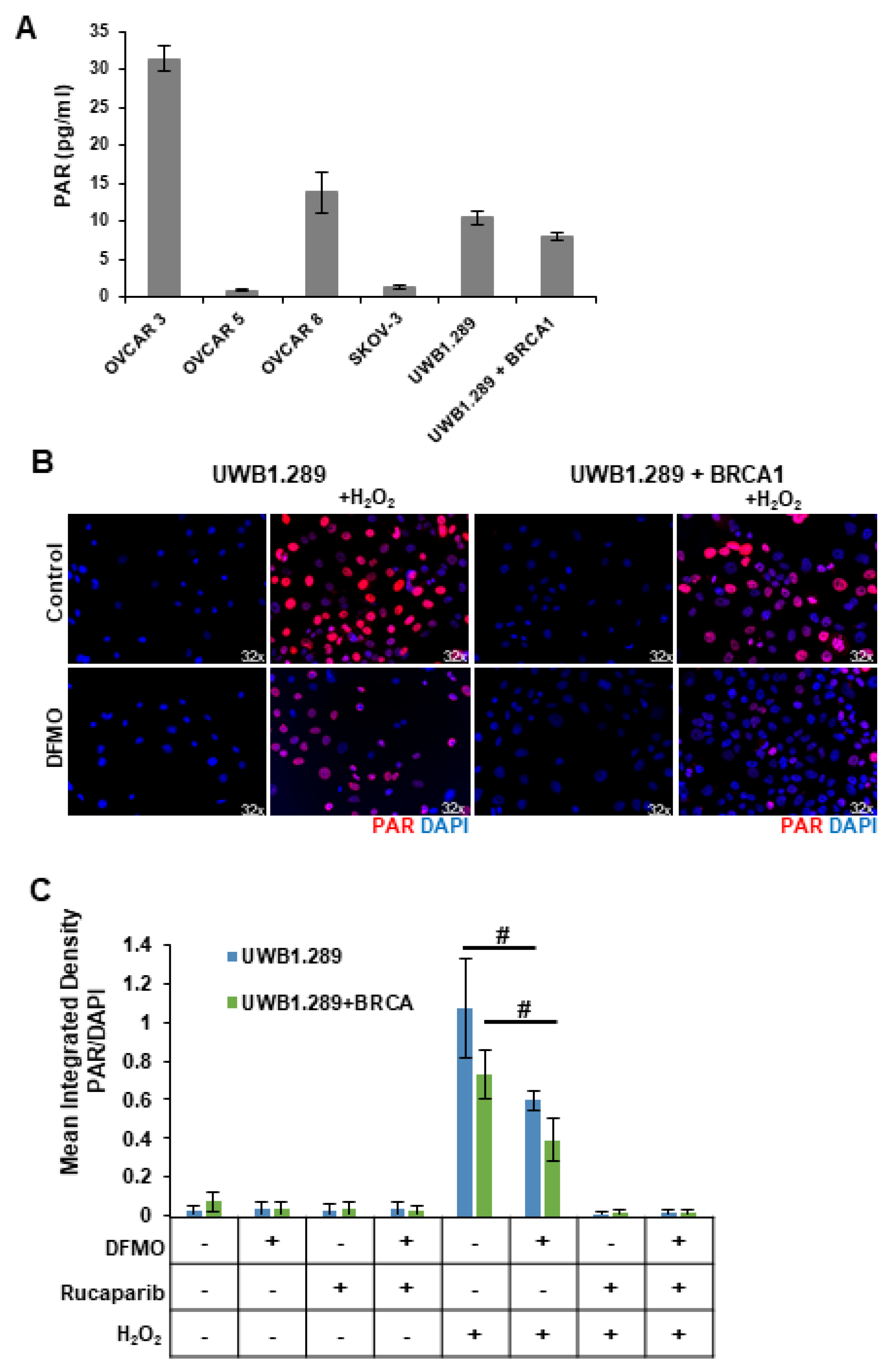 Medsci 10 00028 g002