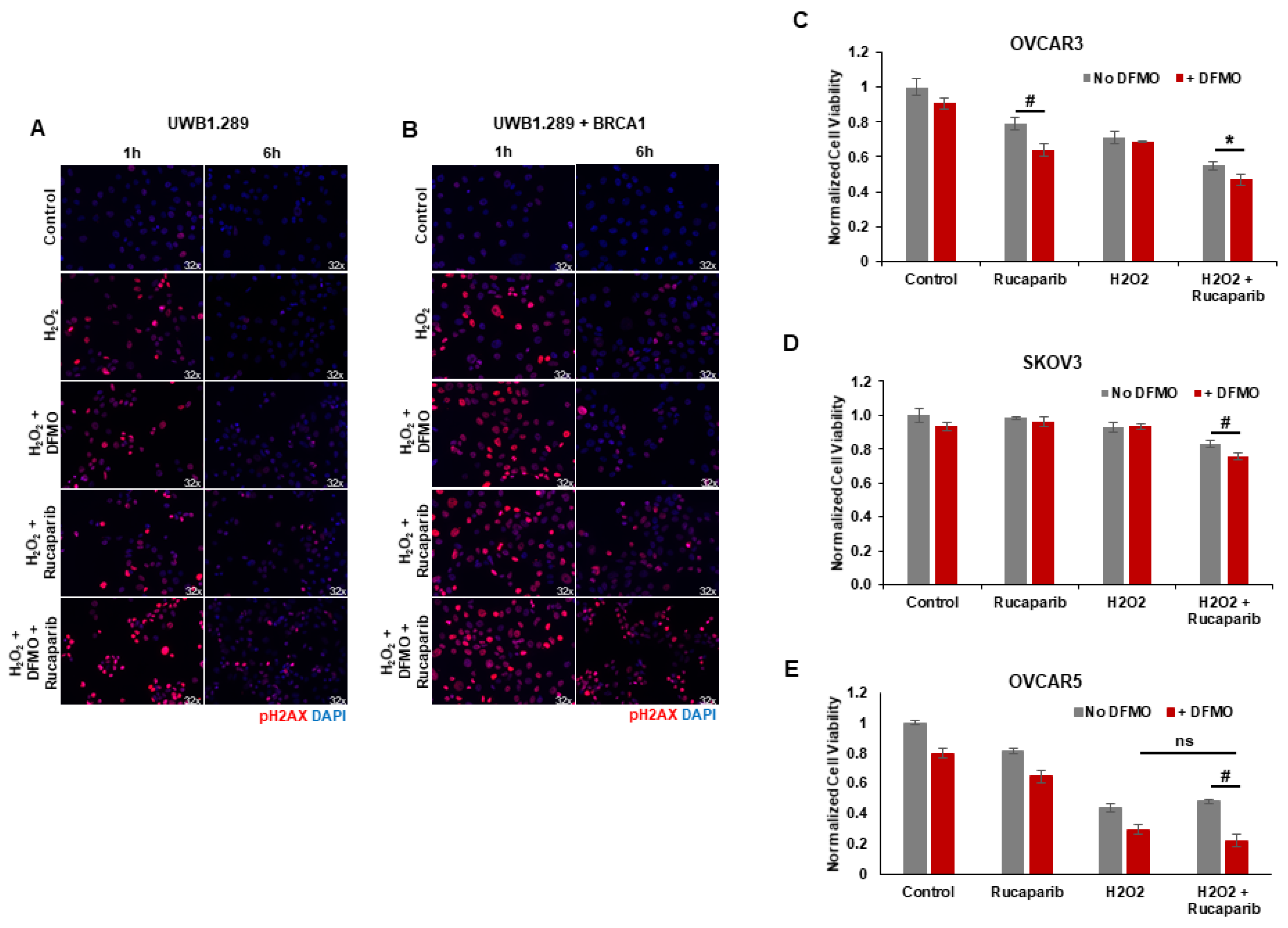 Medsci 10 00028 g003