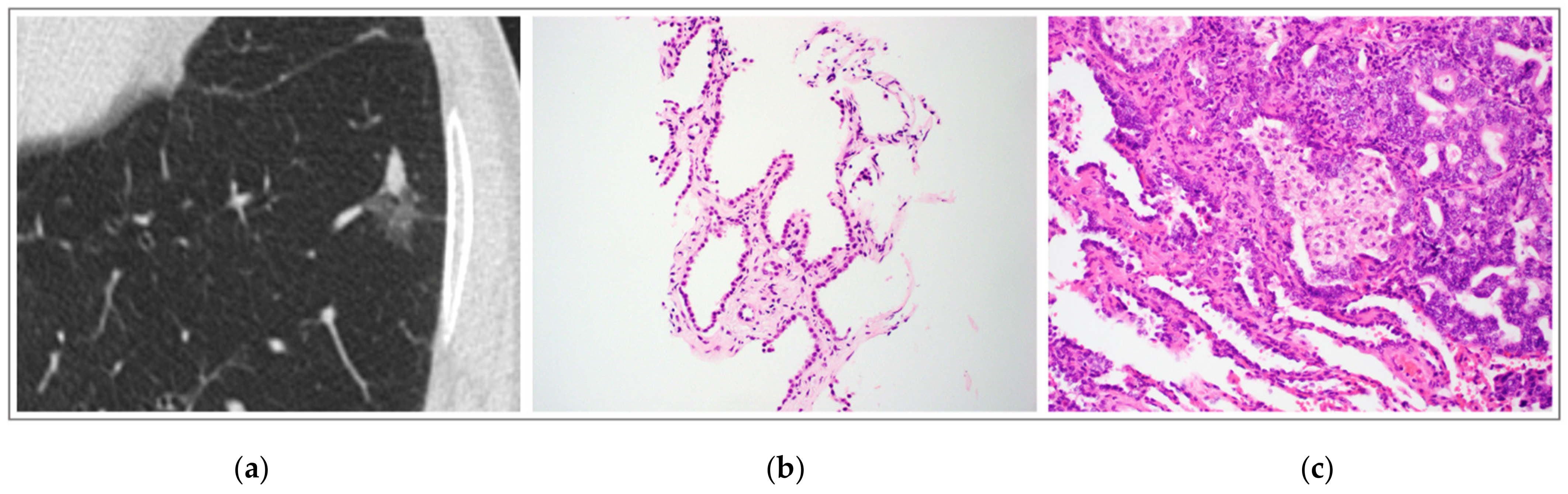 Medsci 10 00034 g002