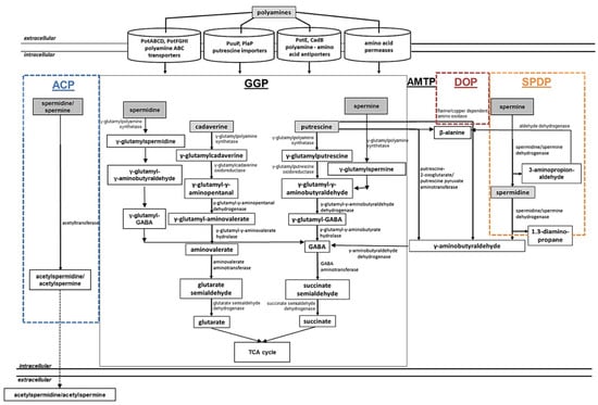 Medsci 10 00040 g003